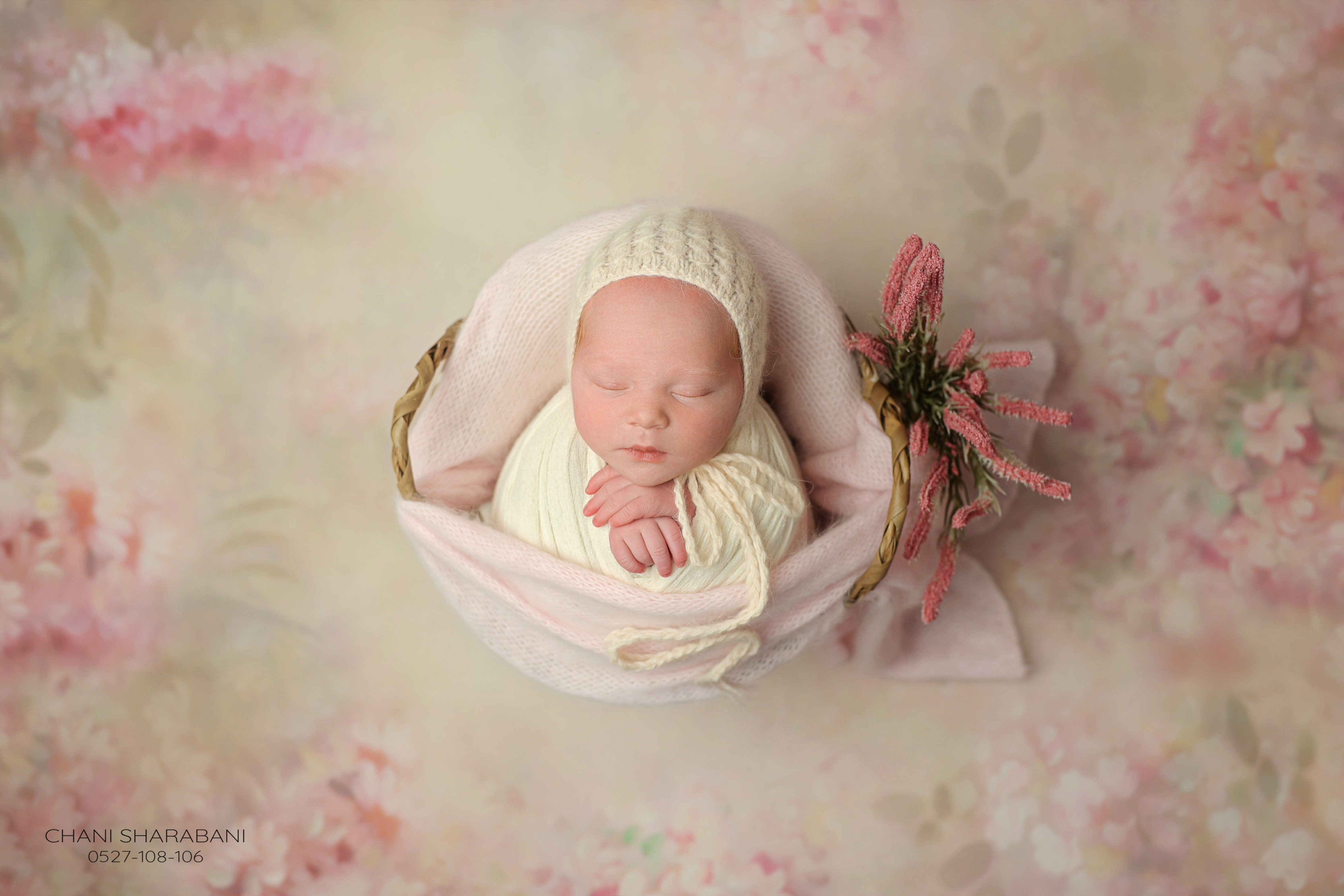 402A3220 copy 2.jpgצילום חני שרבאני 0527108106.jpg