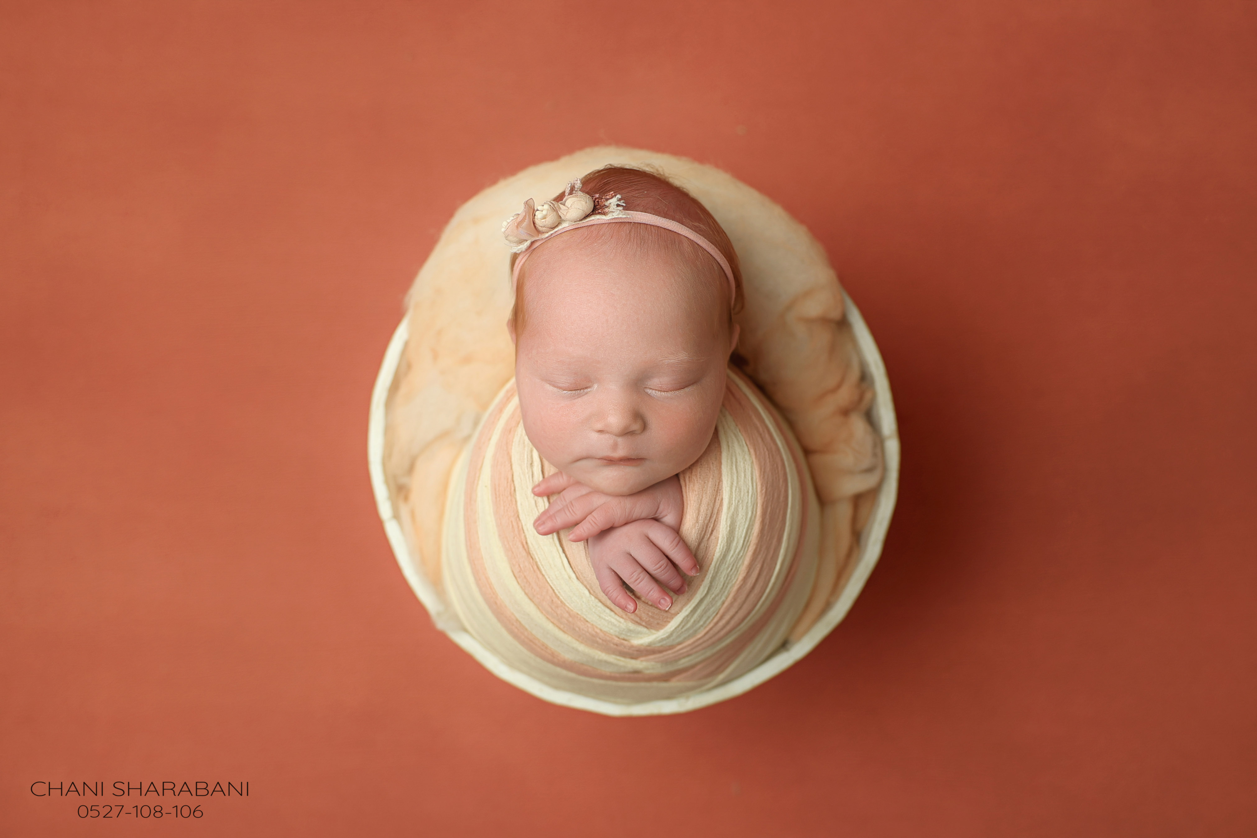 402A3234 copy 2.jpgצילום חני שרבאני 0527108106.jpg