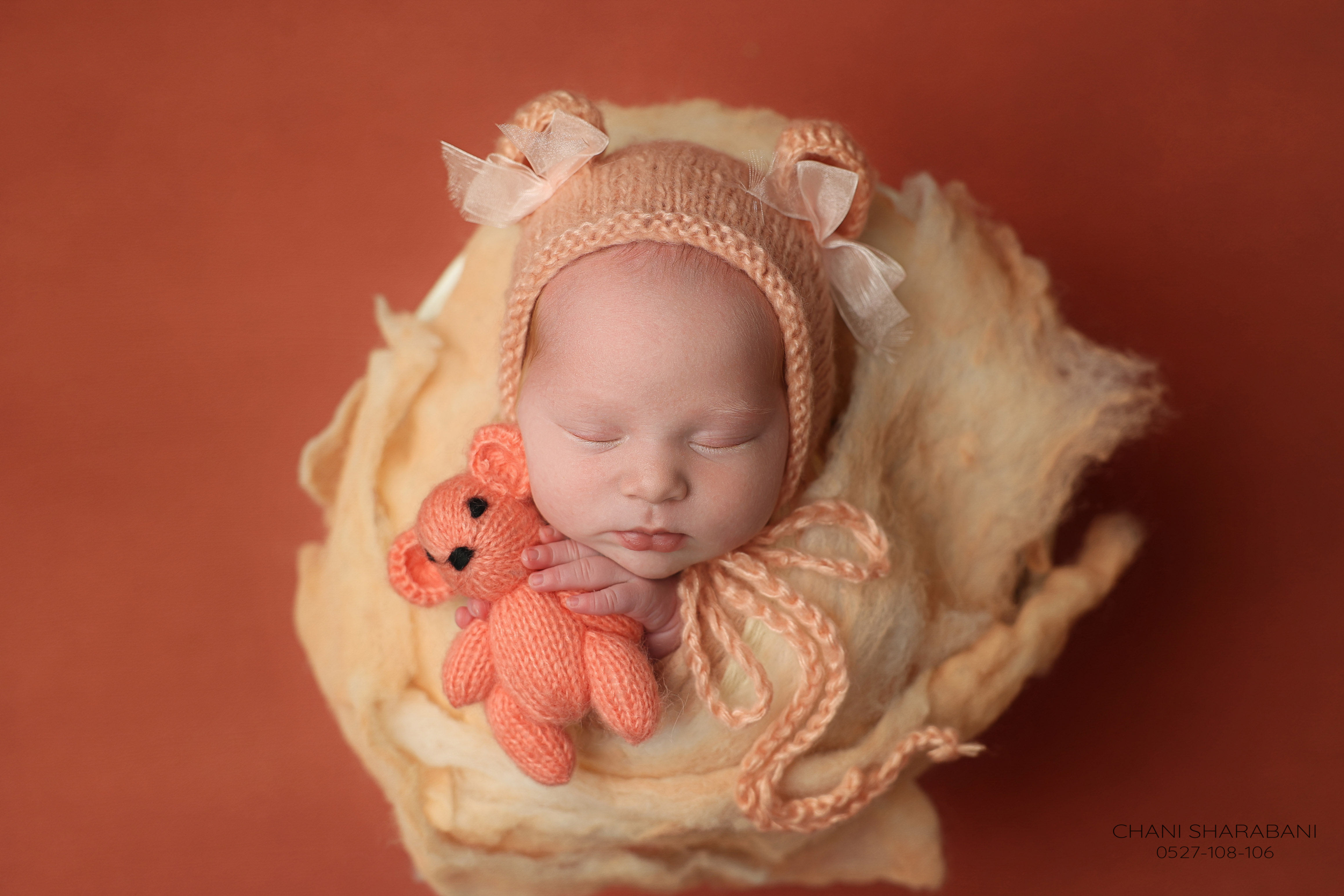 402A3244 copy 2.jpgצילום חני שרבאני 0527108106.jpg