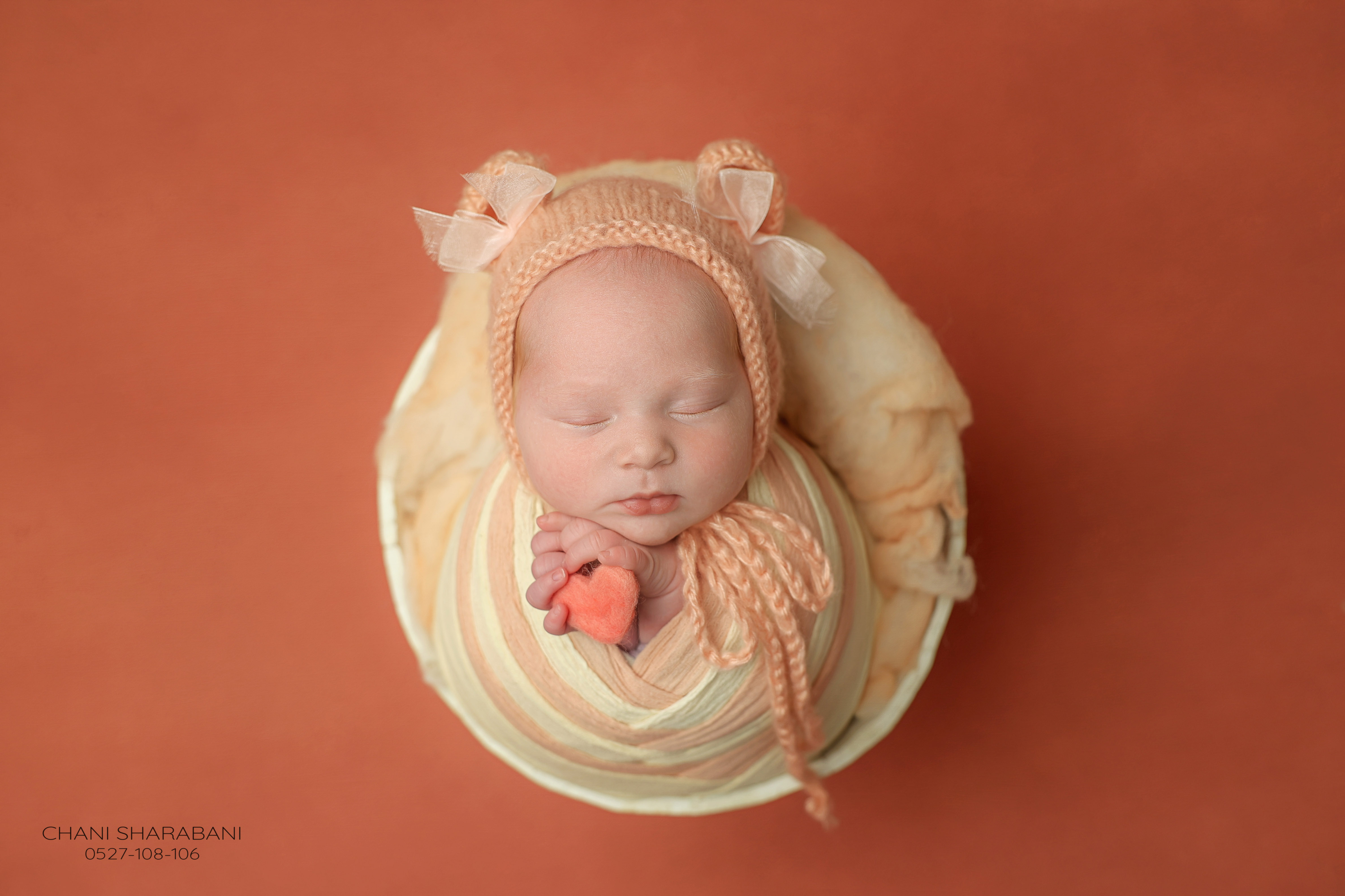 402A3251 copy 2.jpgצילום חני שרבאני 0527108106.jpg