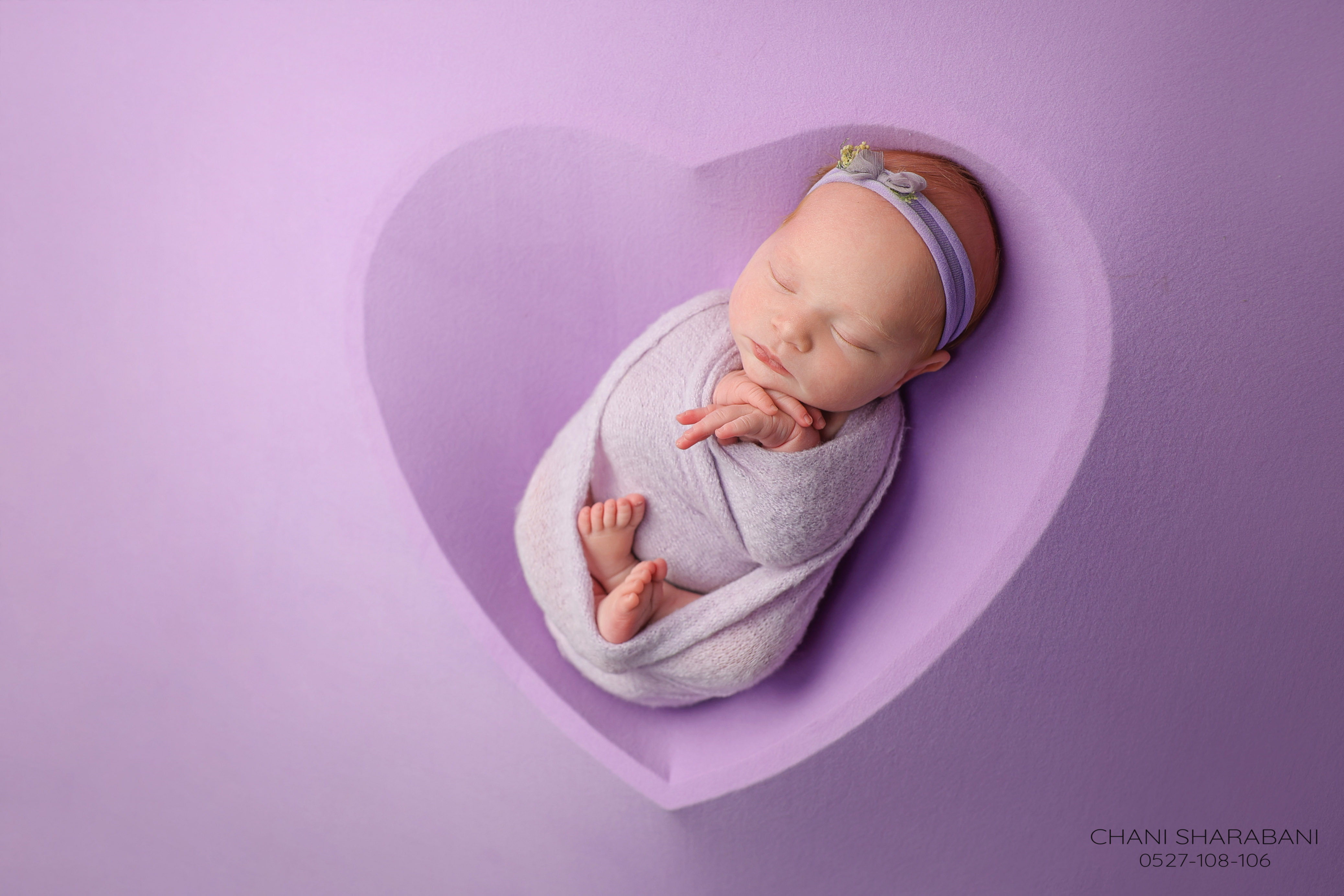 402A3261 copy 2.jpgצילום חני שרבאני 0527108106.jpg