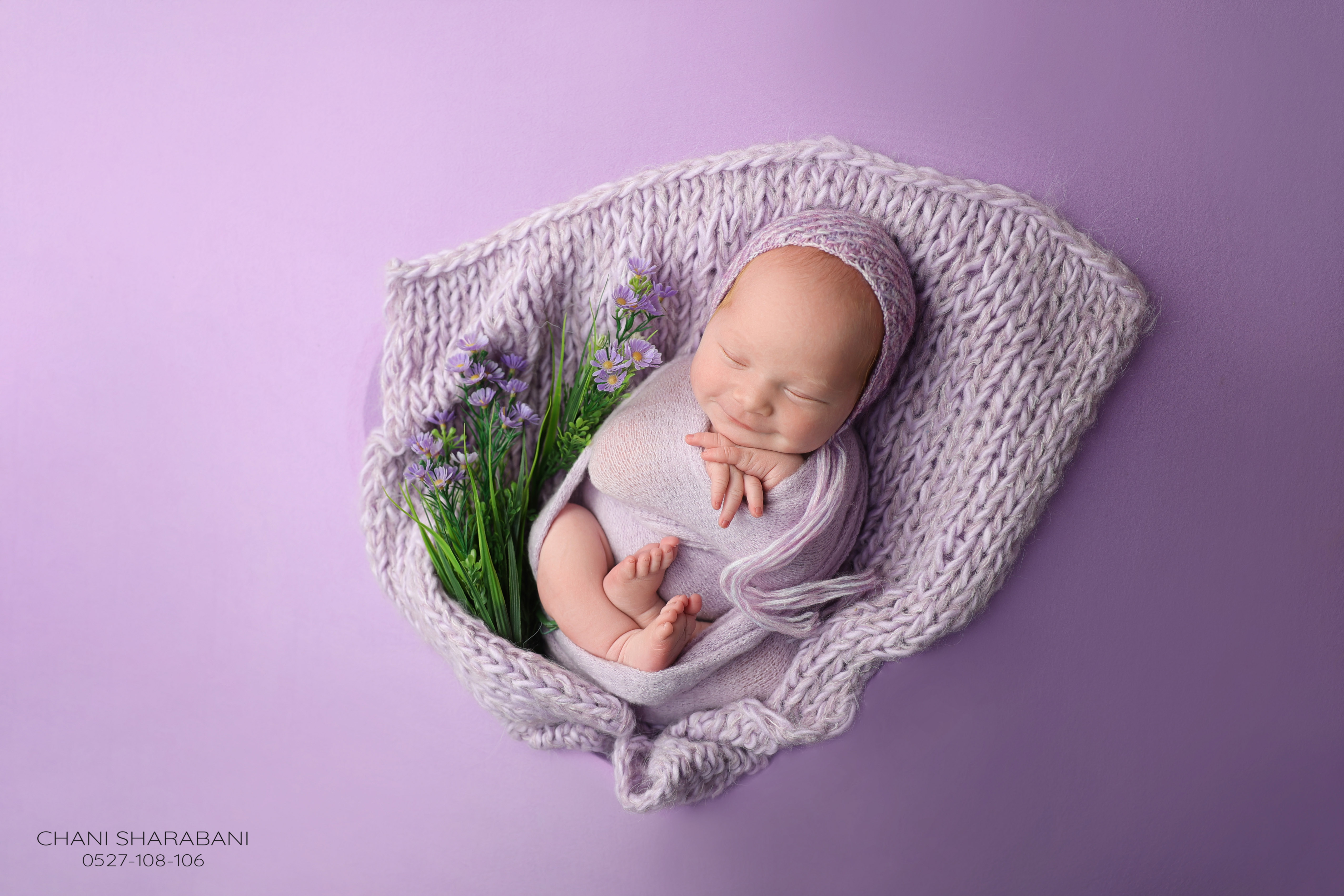 402A3281 copy 2.jpgצילום חני שרבאני 0527108106.jpg