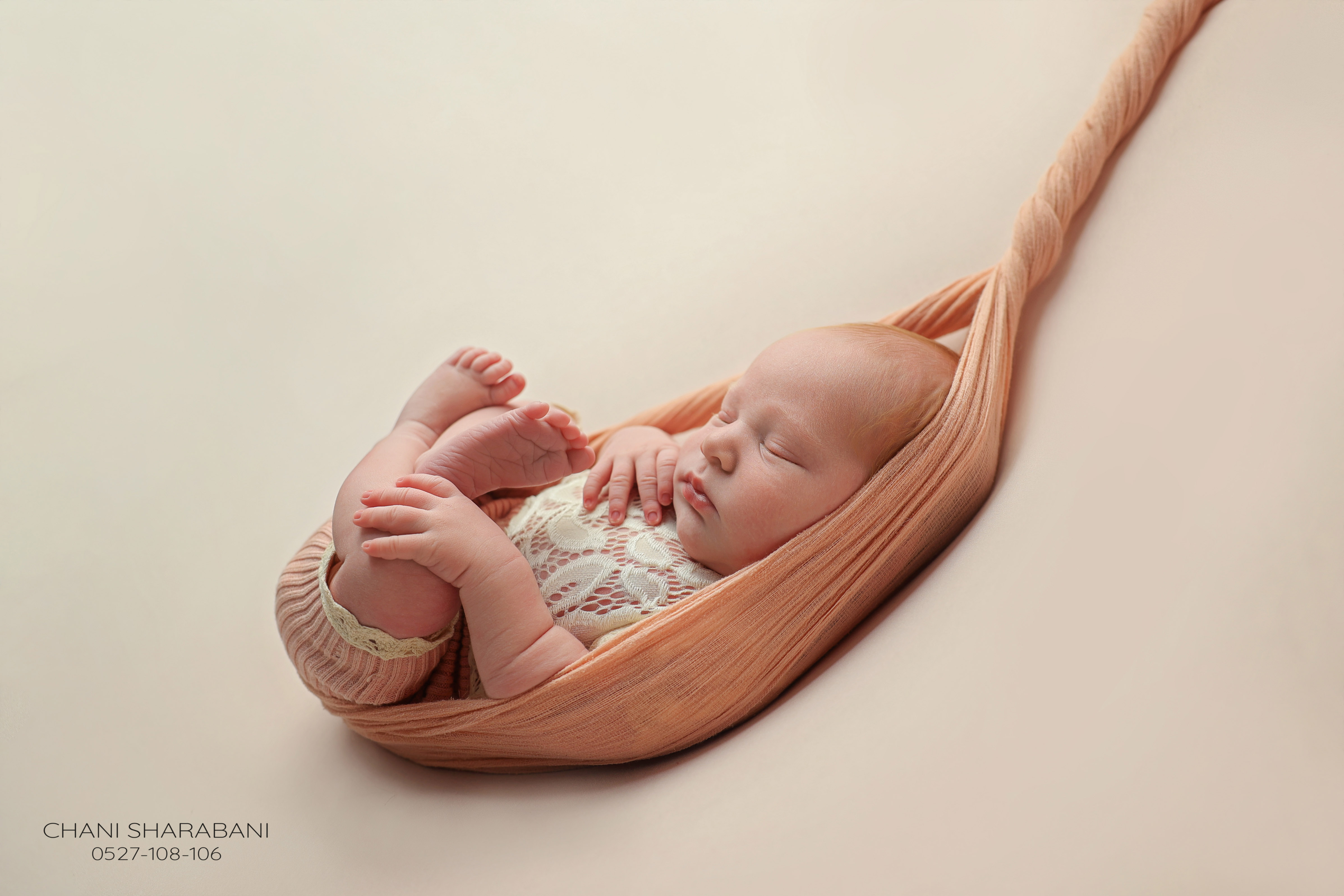 402A3288 copy 2.jpgצילום חני שרבאני 0527108106.jpg