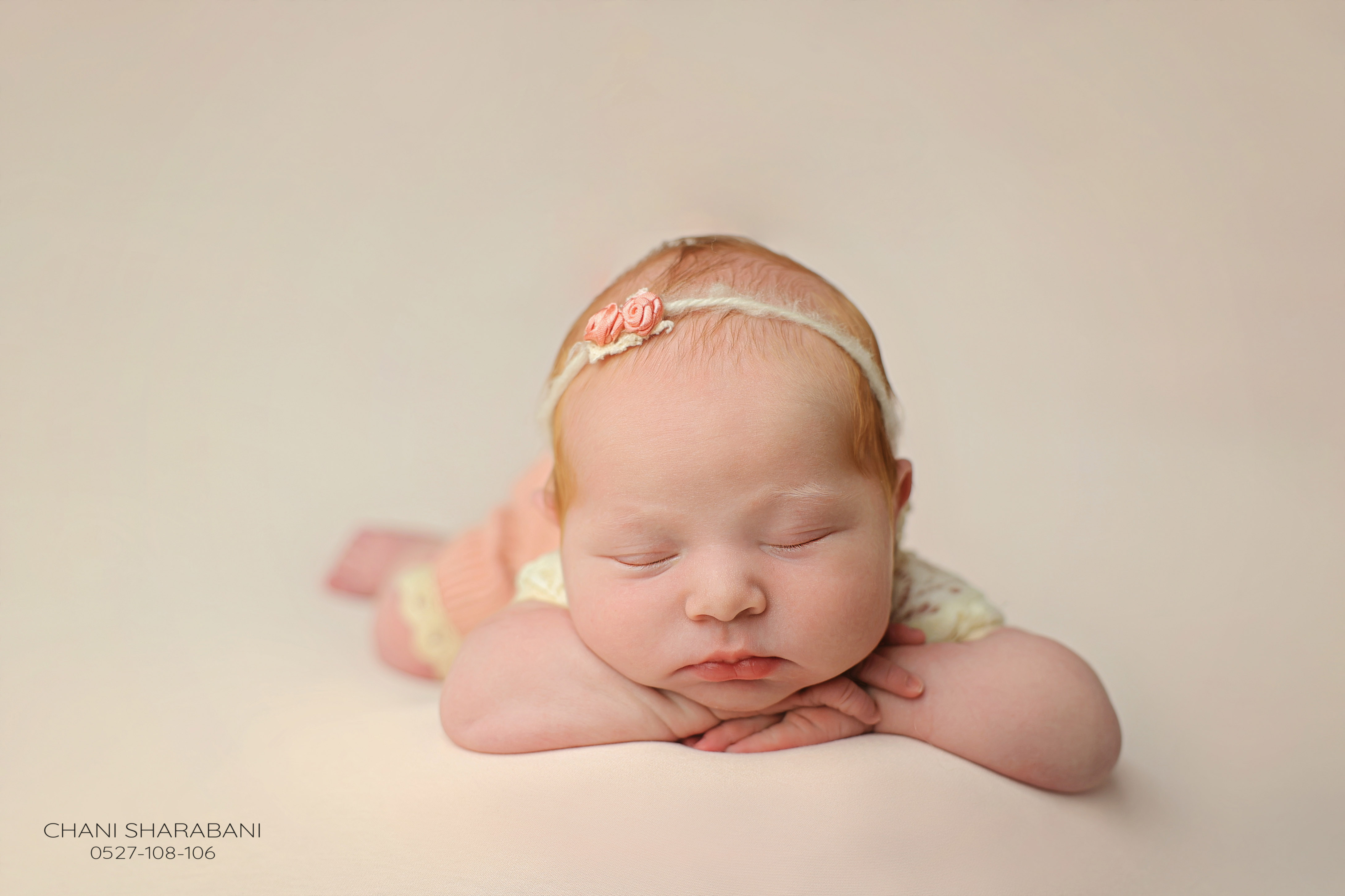 402A3312 copy 2.jpgצילום חני שרבאני 0527108106.jpg