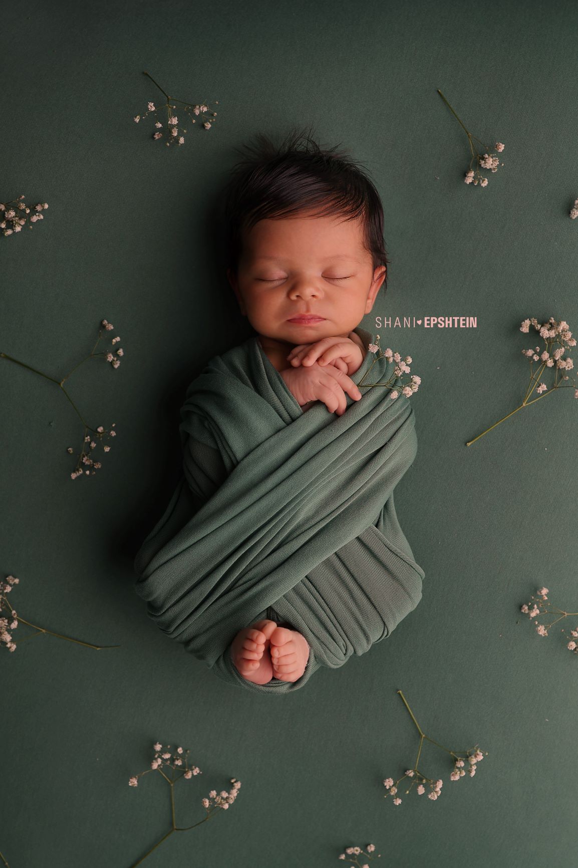 405A9854 לוגו.jpg