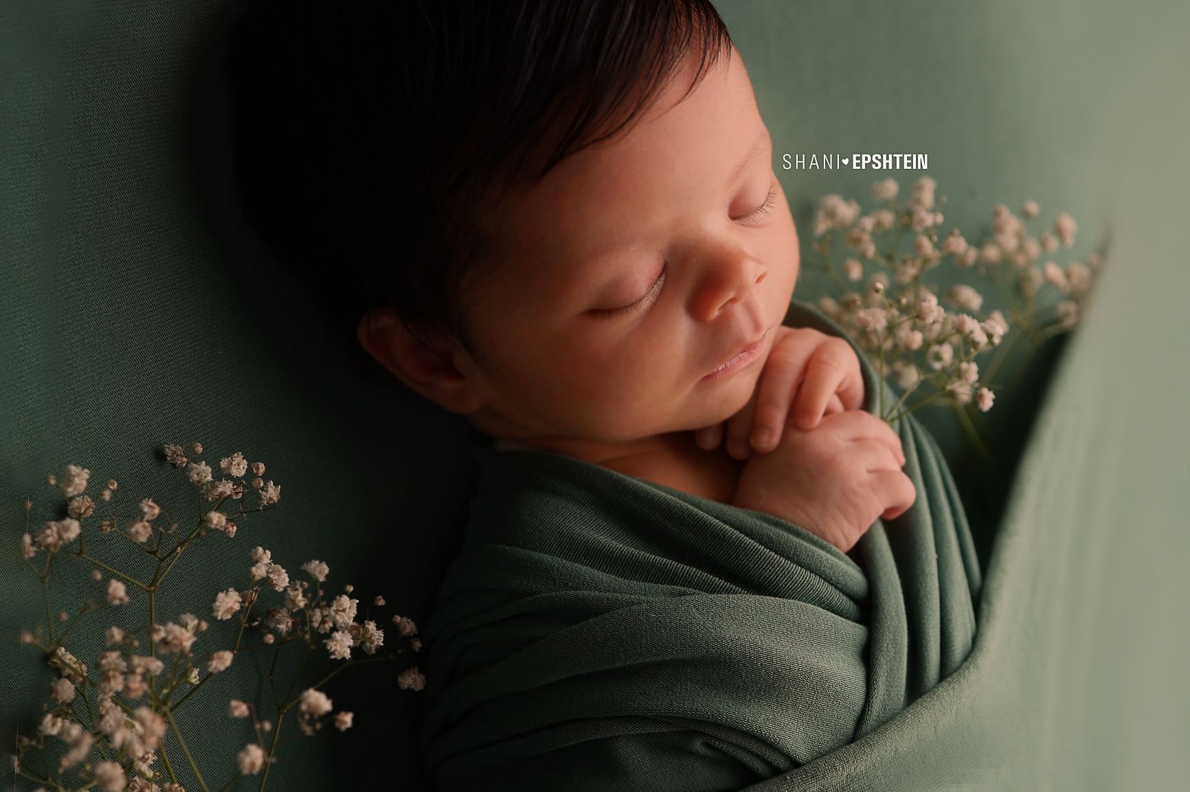 405A9871 לוגו.jpg