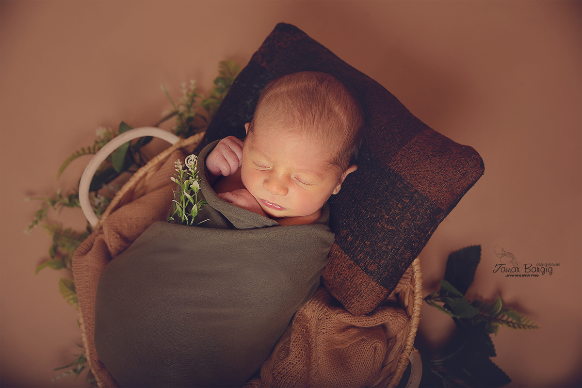 4C2A3345 נמוכה.jpg