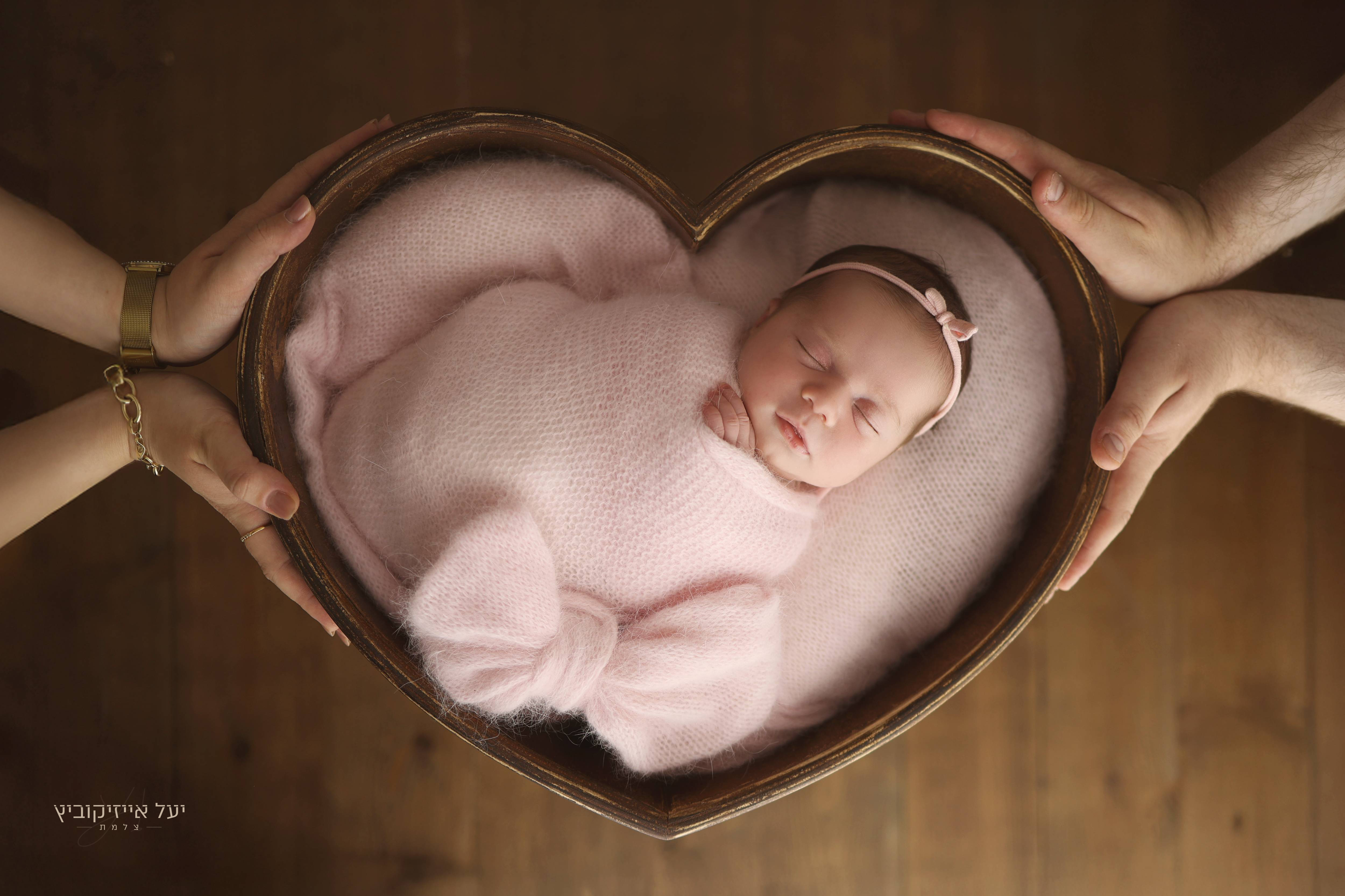 4K4A1681 מעובד.jpg