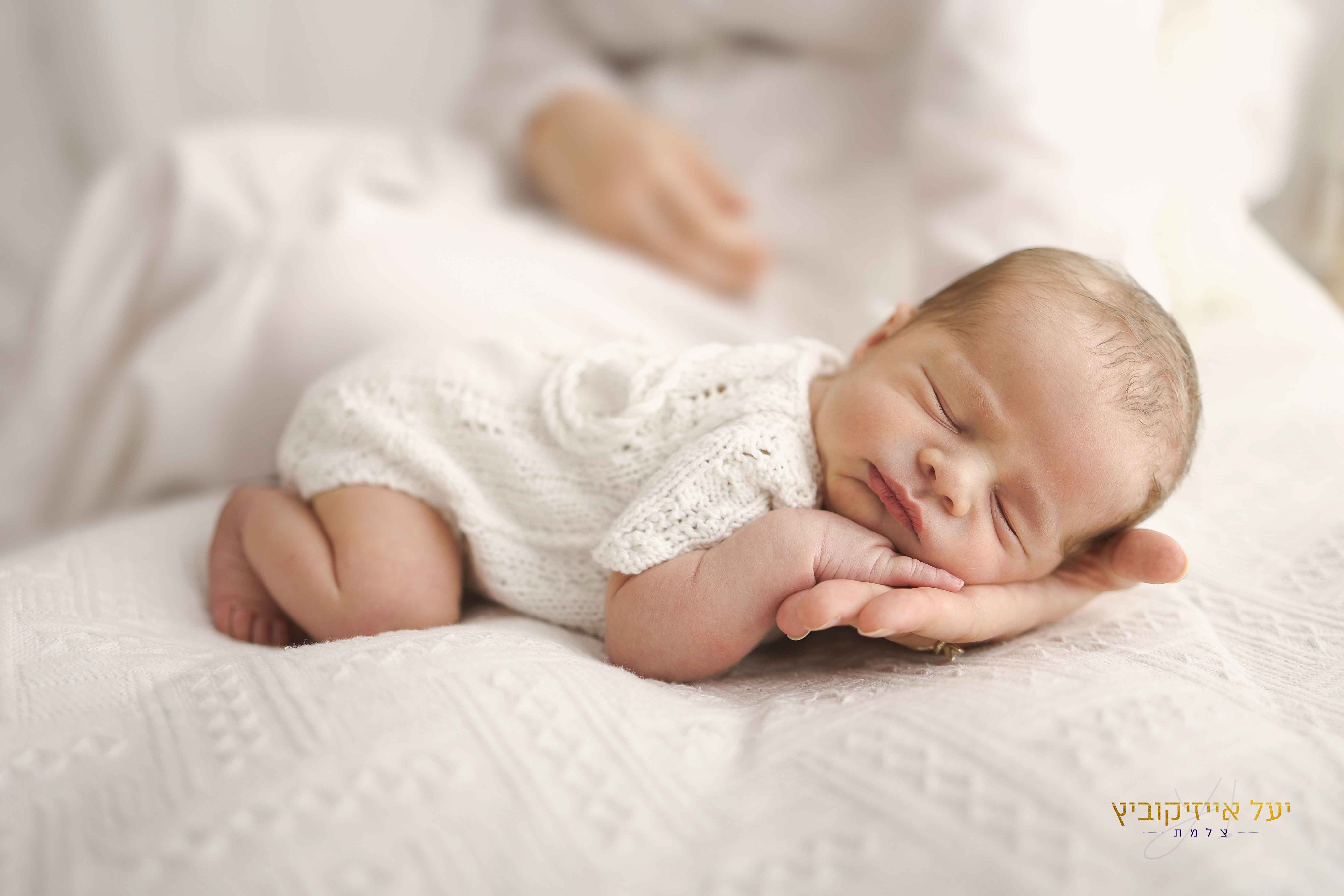 4K4A2010 מעובד.jpg