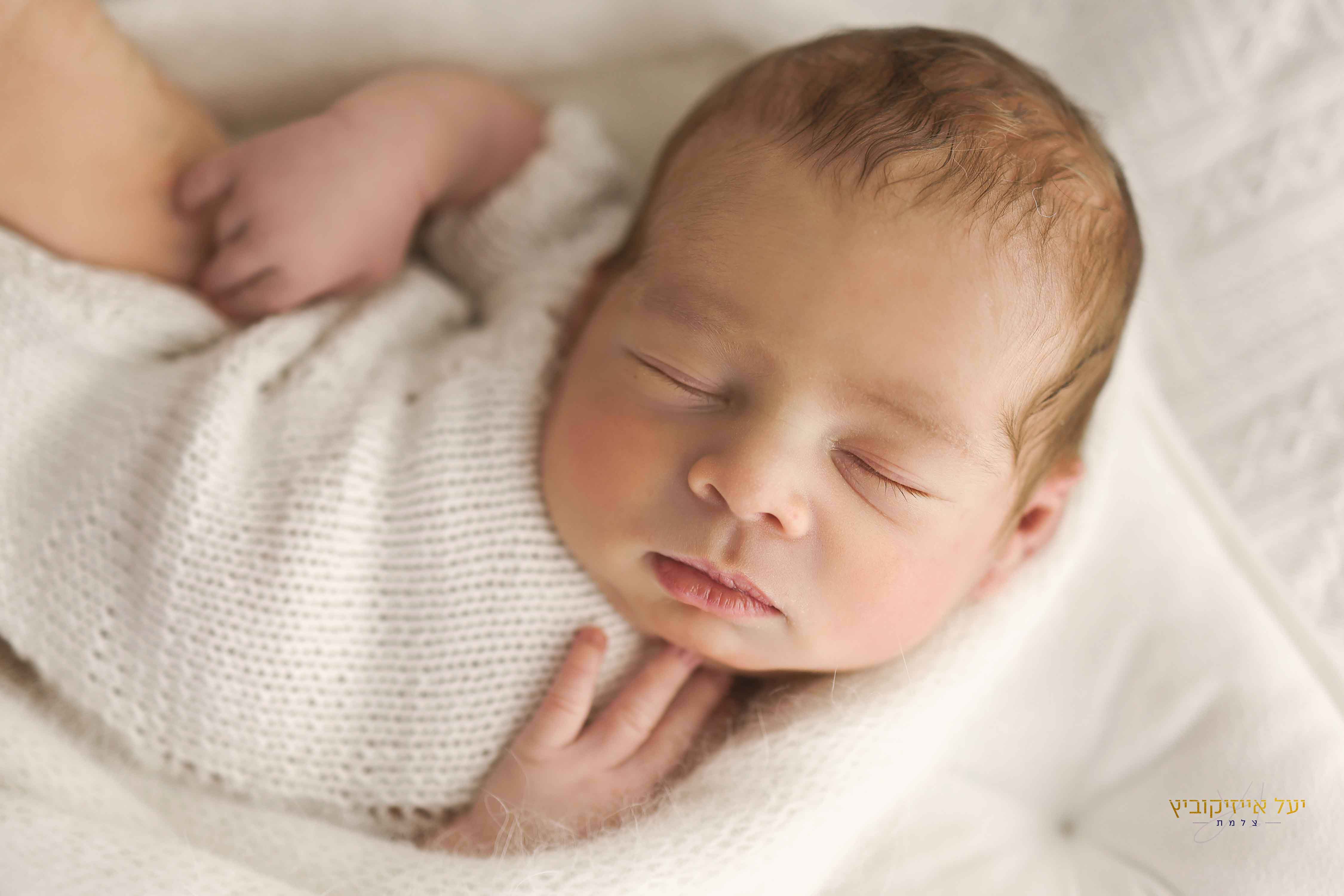 4K4A2420 מעובד.jpg