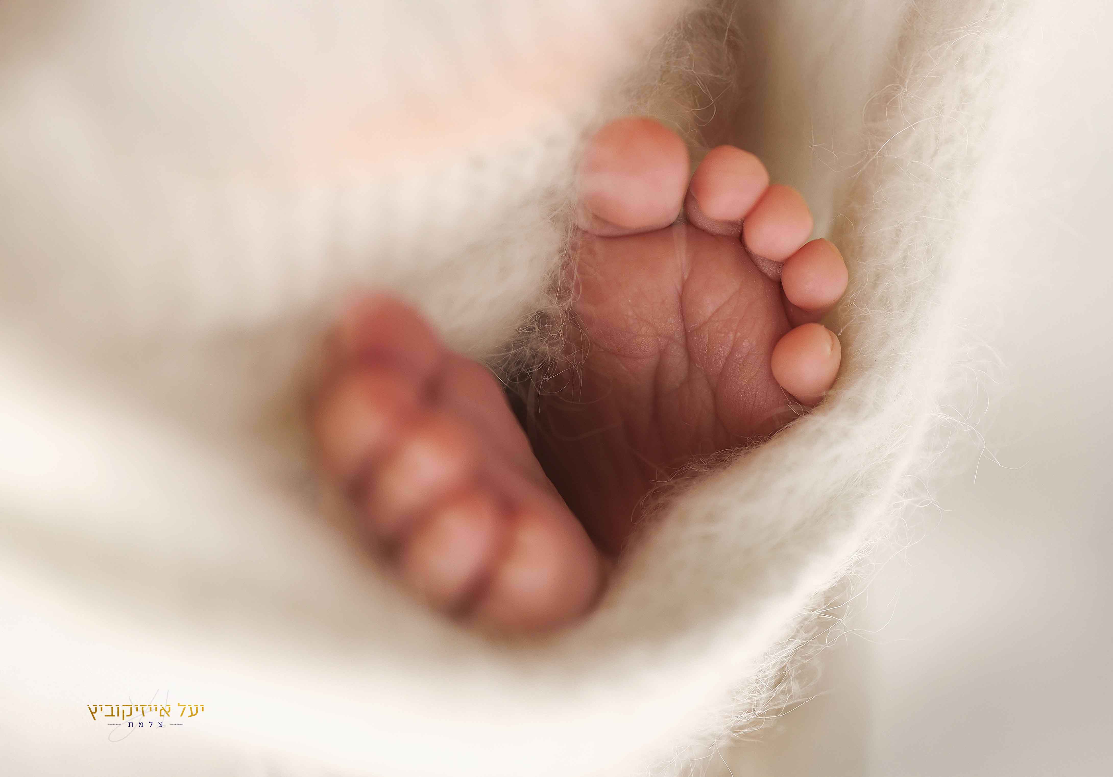 4K4A3101 מובד.jpg