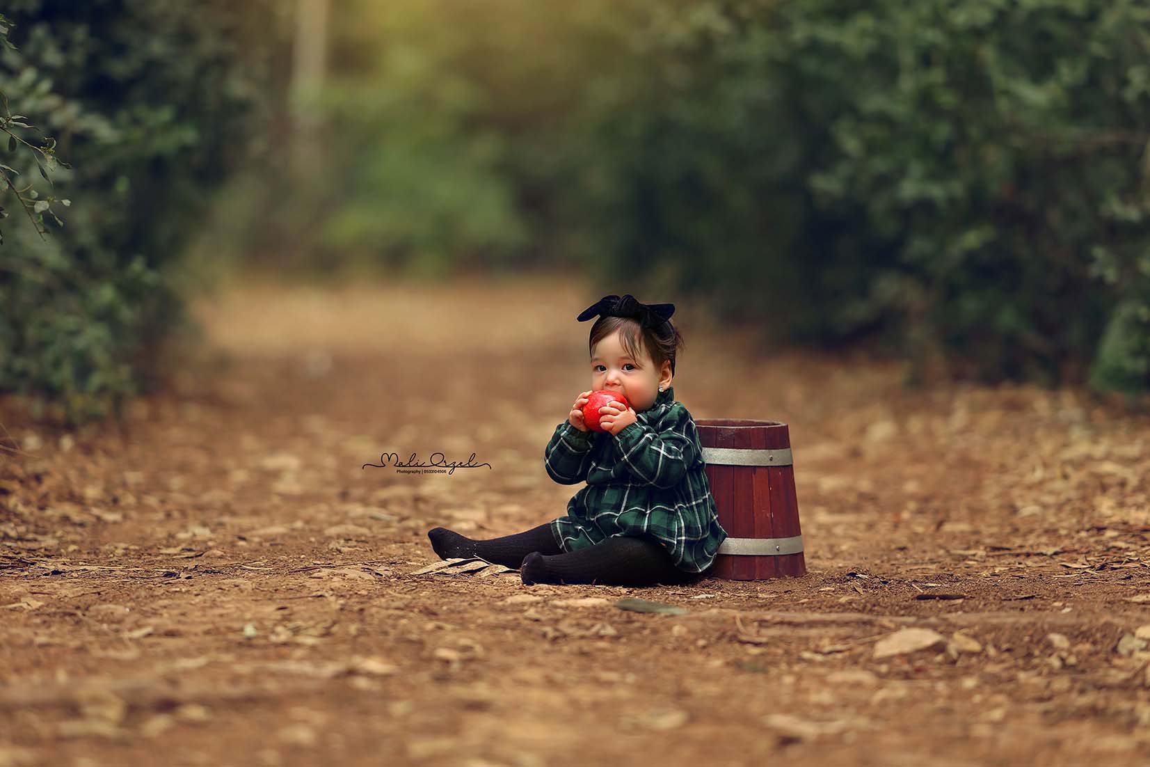 4L7A3061מוקטן פ.jpg