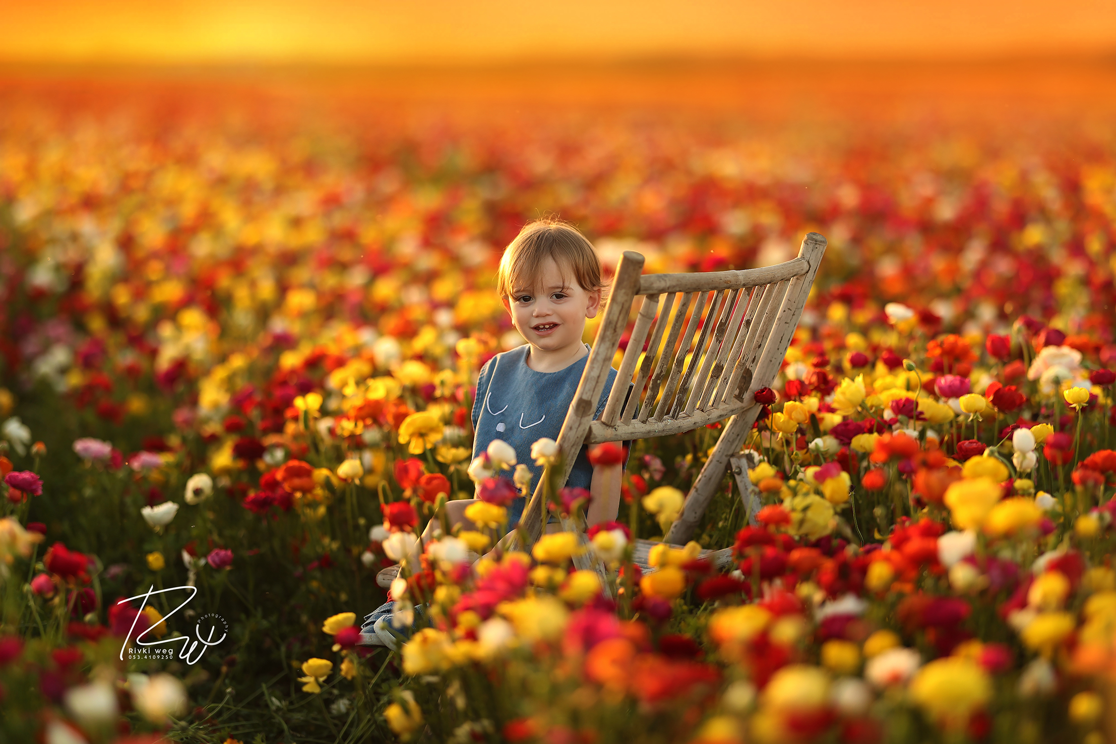 4W3A0719 העתק.jpg