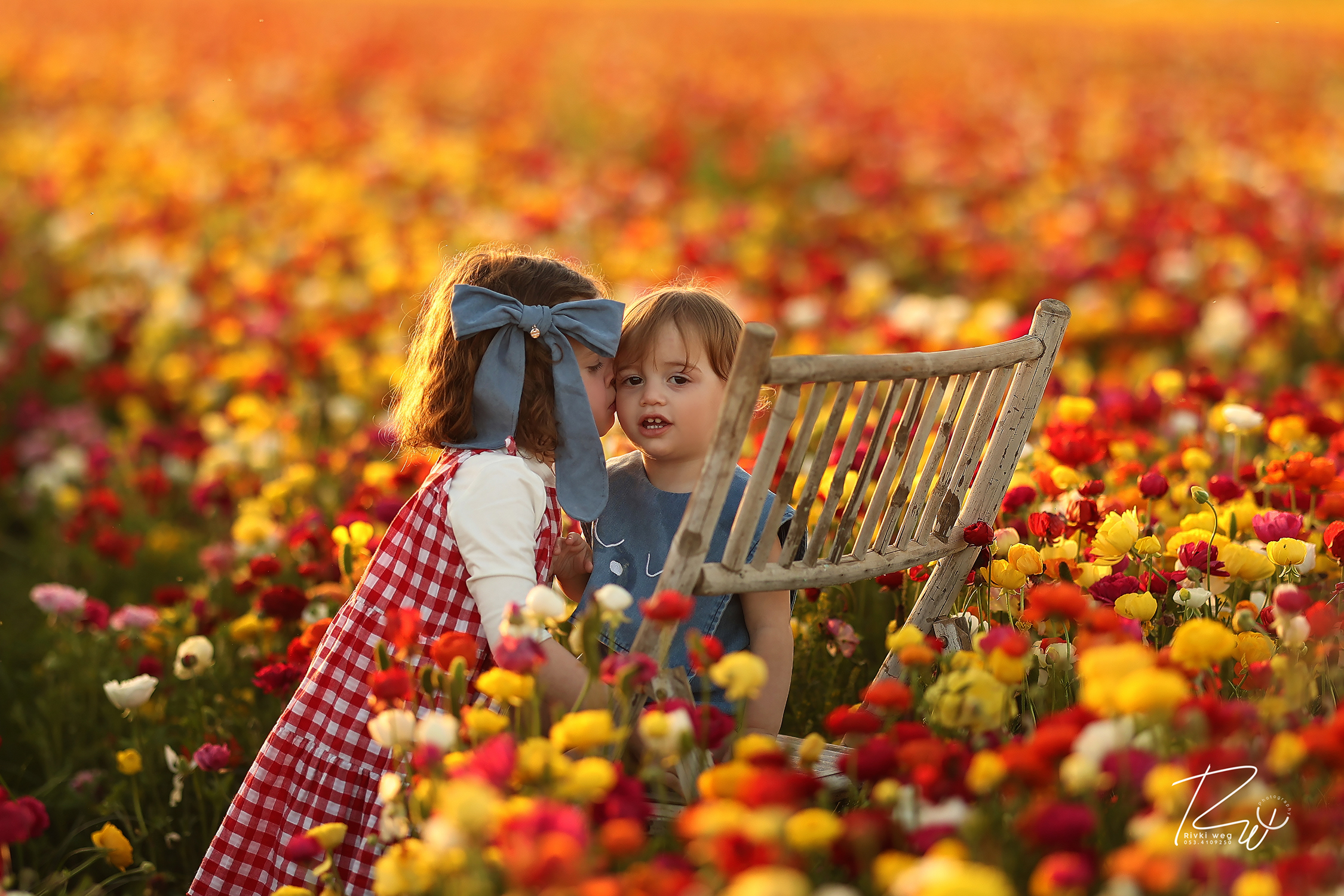 4W3A0728 העתק.jpg