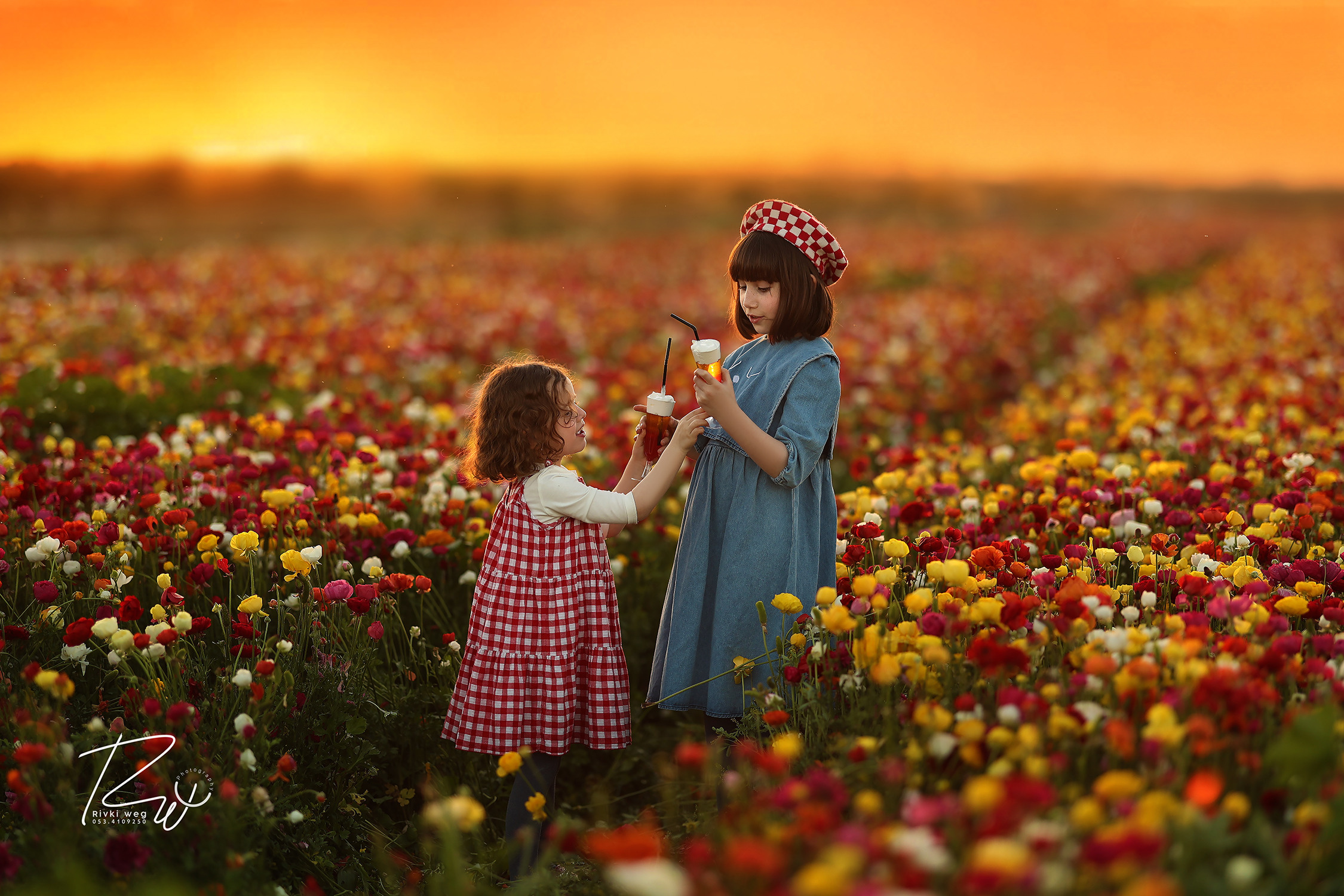 4W3A0951 העתק.jpg