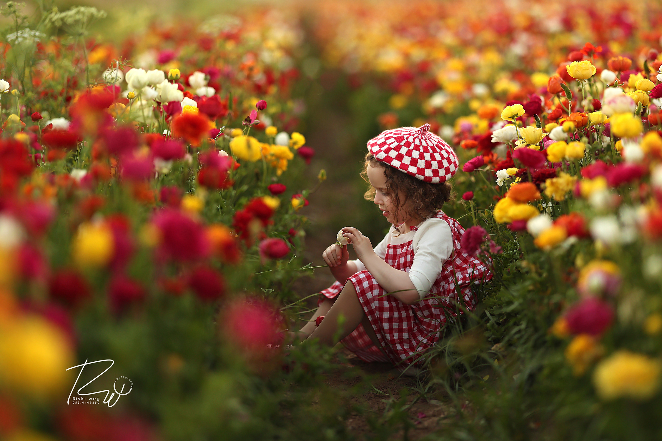 4W3A1081 העתק.jpg