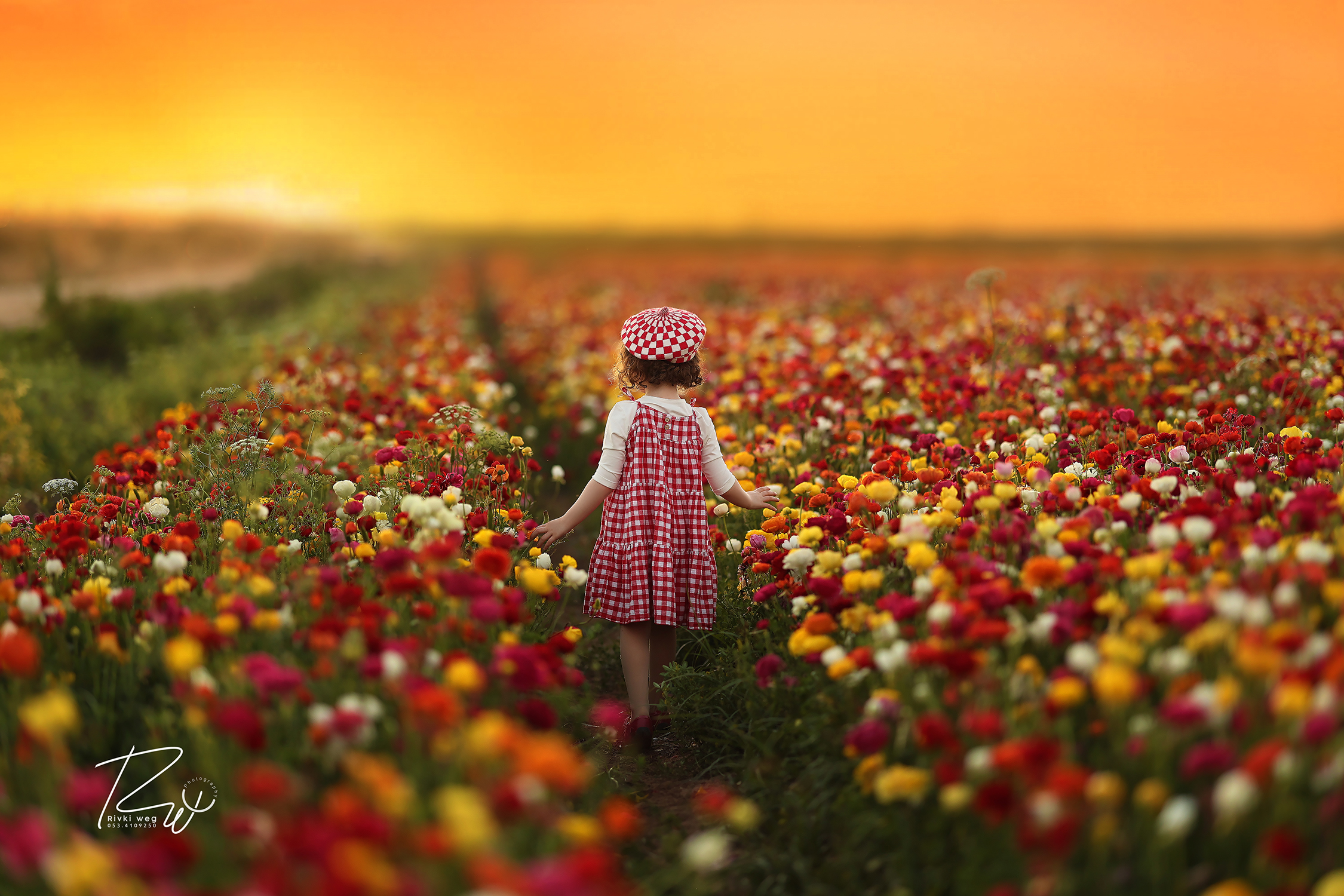 4W3A1133 העתק.jpg