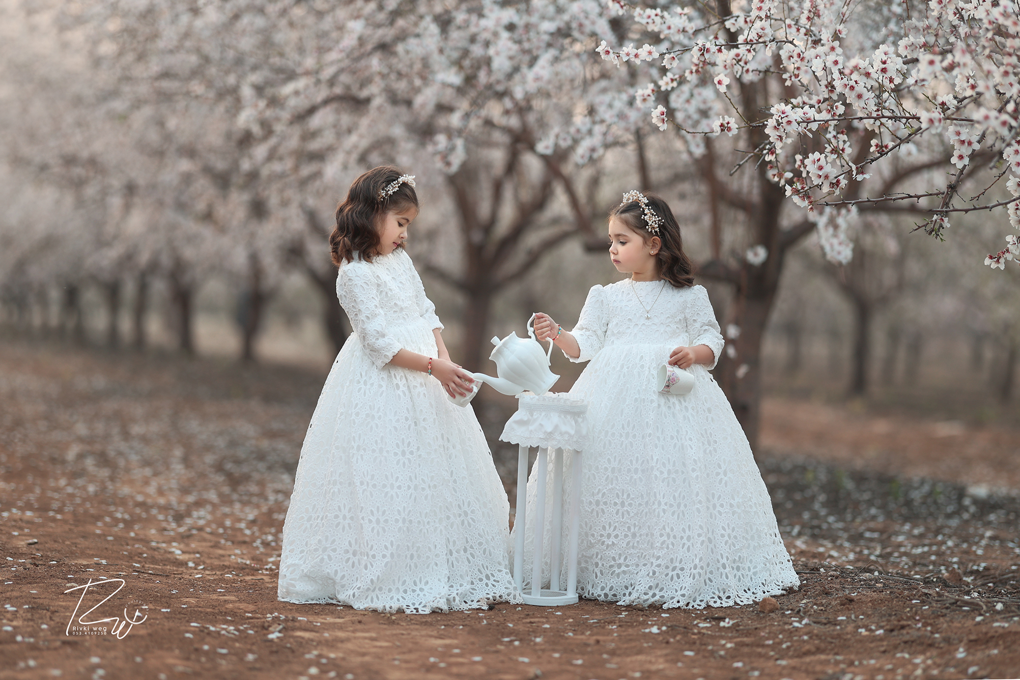 4W3A1402 העתק.jpg