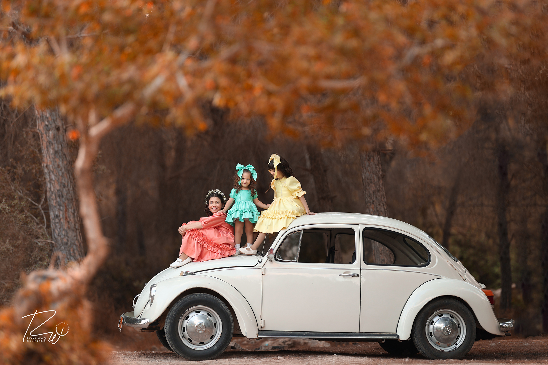 4W3A2977 העתק.jpg