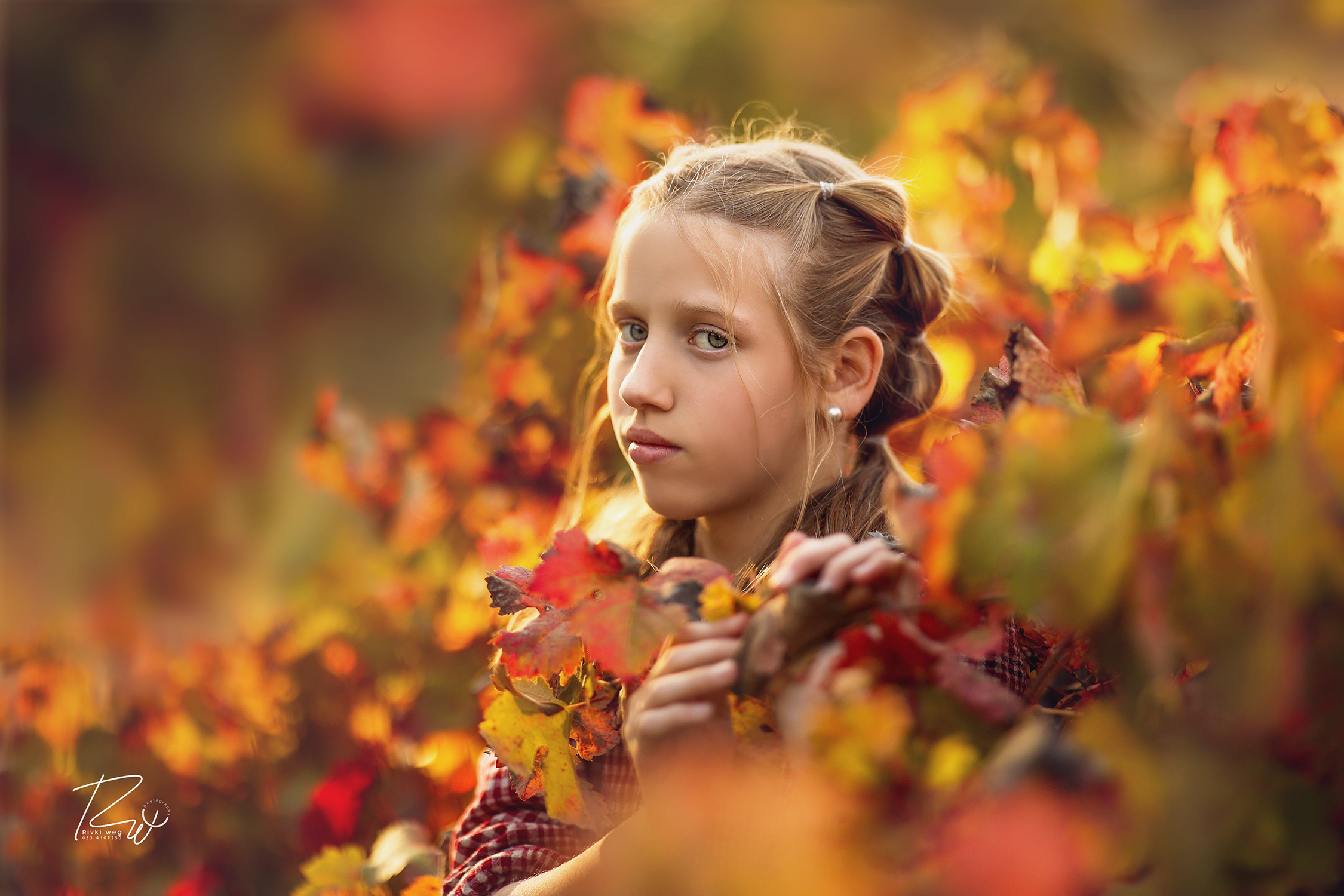 4W3A6464 העתק.jpg