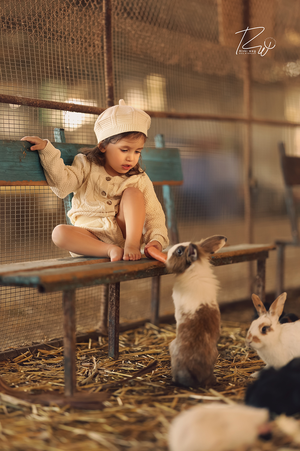 4W3A7682 העתק.jpg