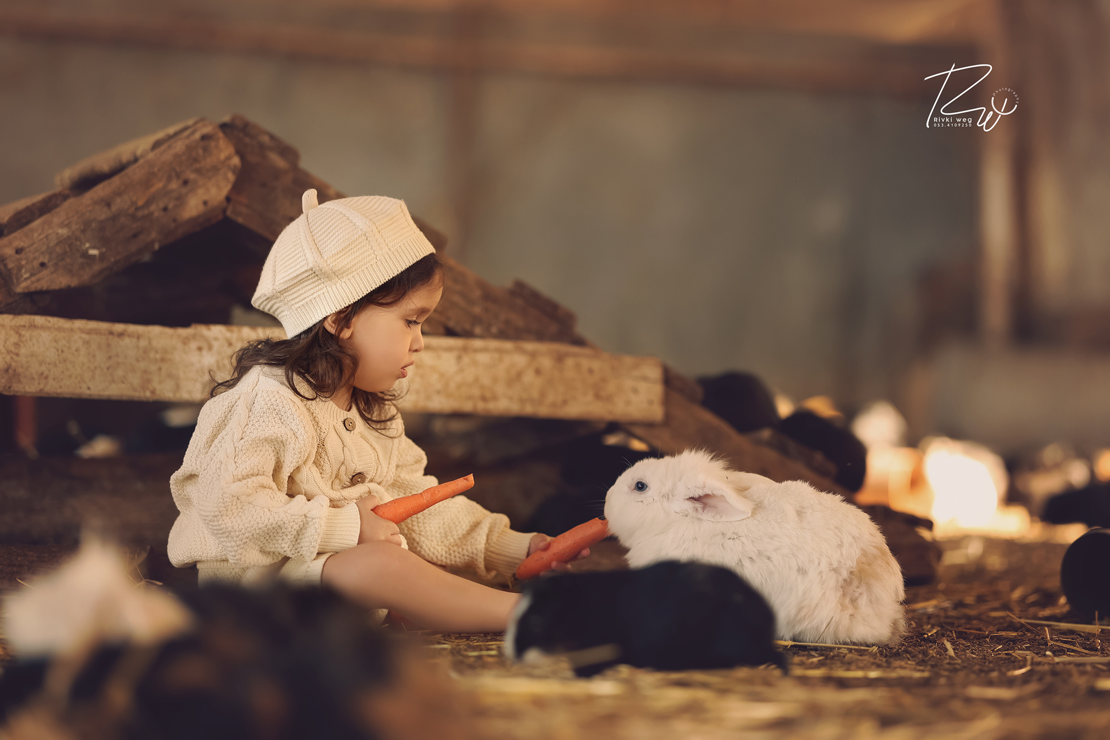 4W3A7715 העתק.jpg