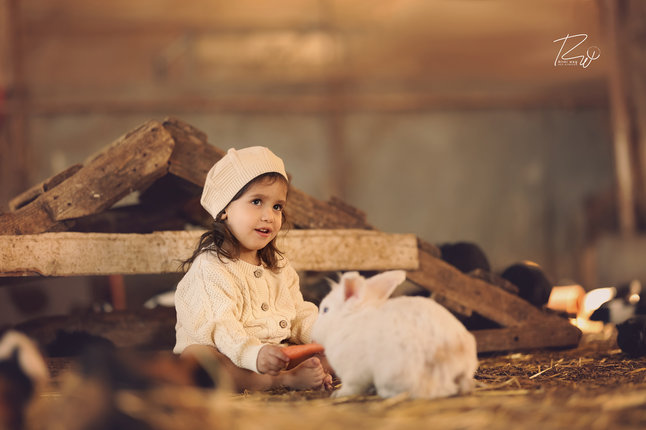 4W3A7743 העתק.jpg