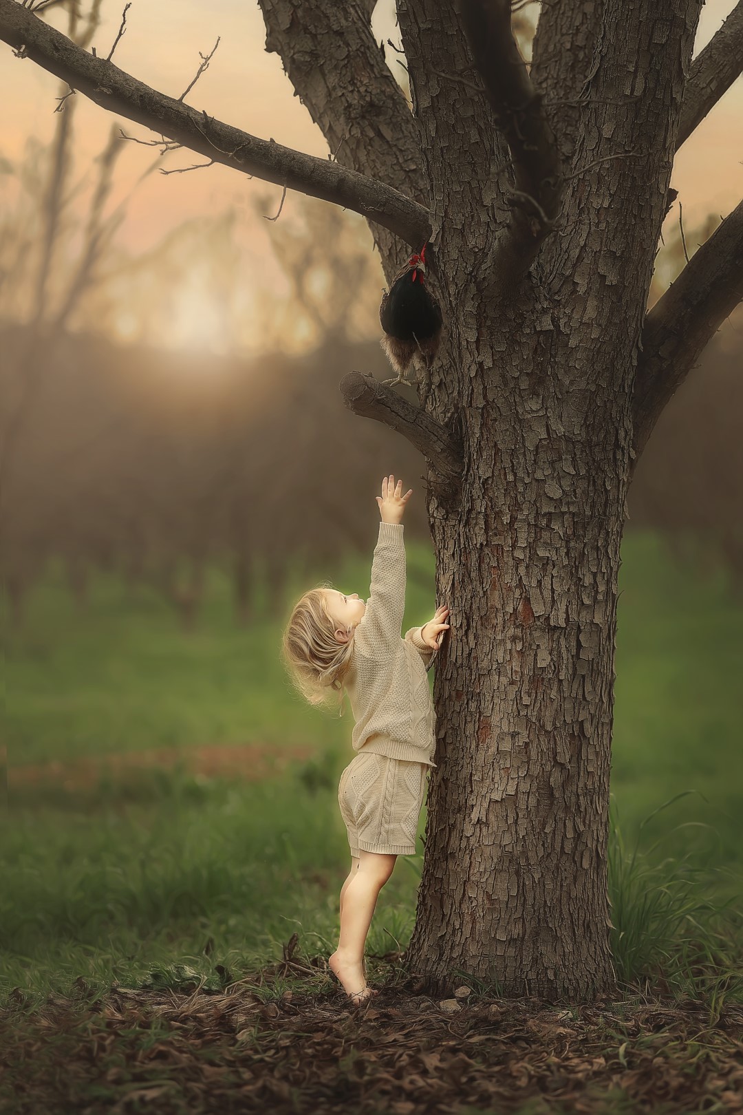 4W3A8368 copy (Large).jpg