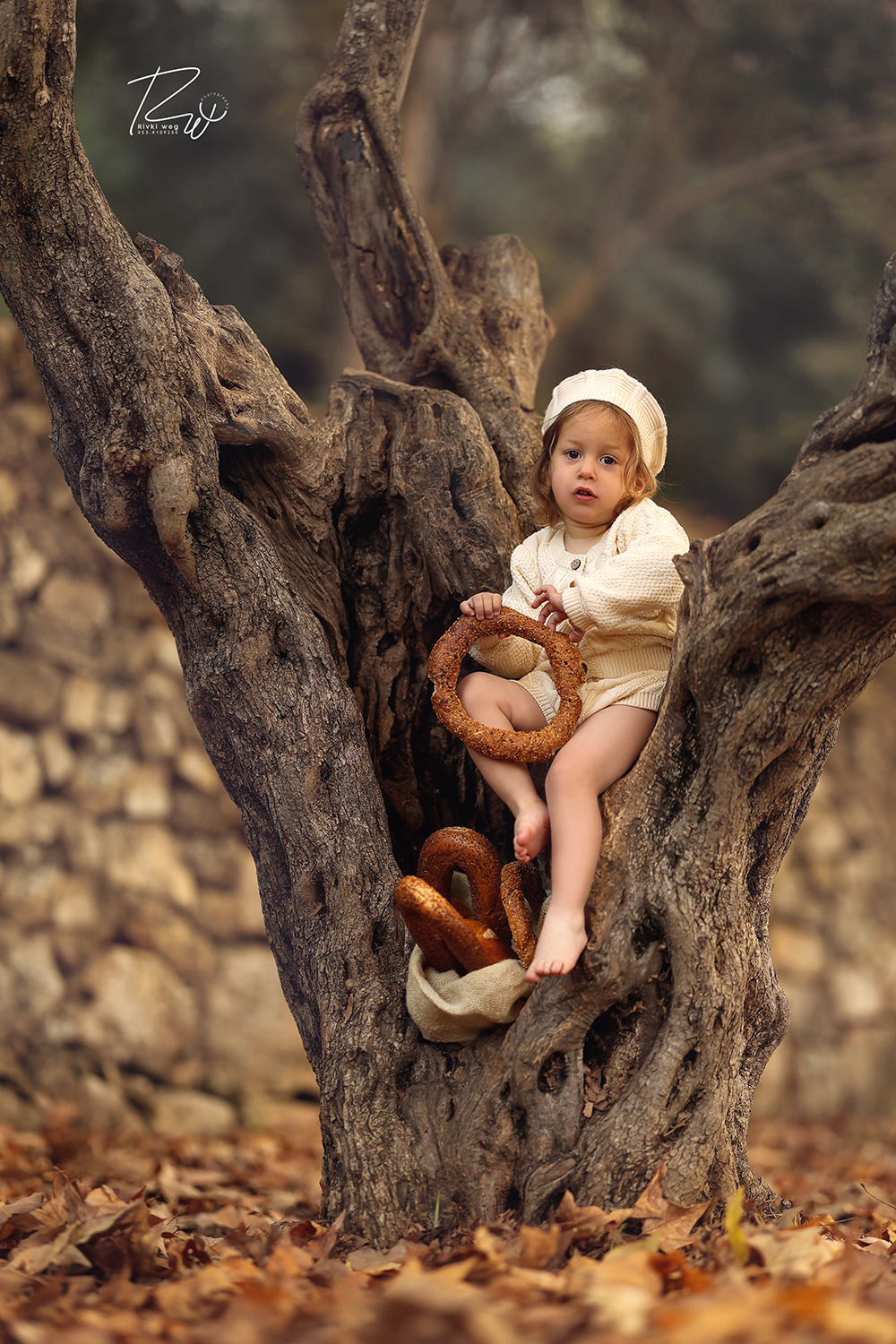 4W3A8765 העתק.jpg