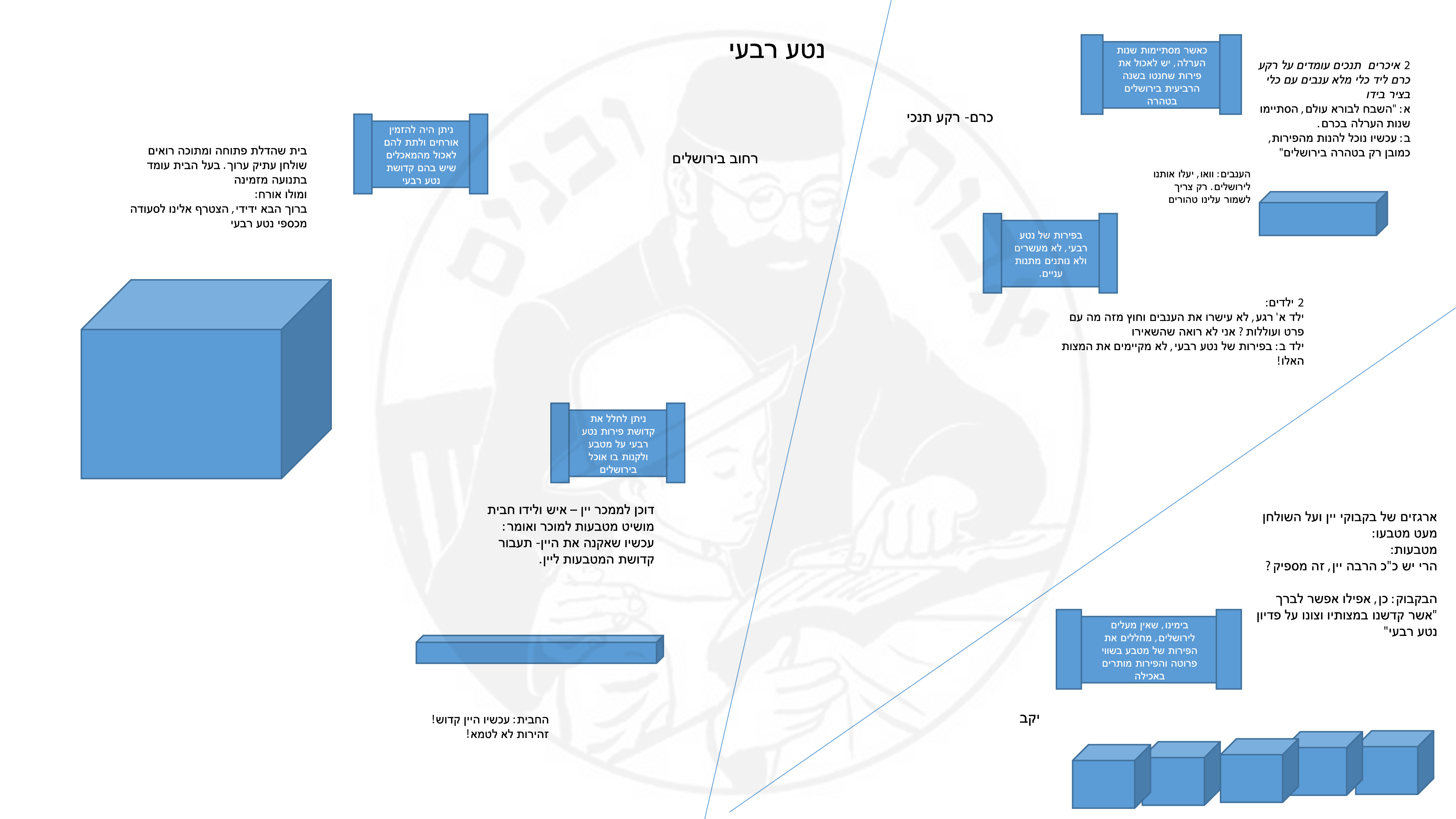 5סקיצה נטע רבעי.jpg
