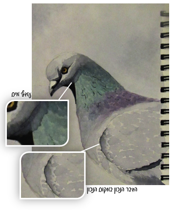 5עודף מים.PNG