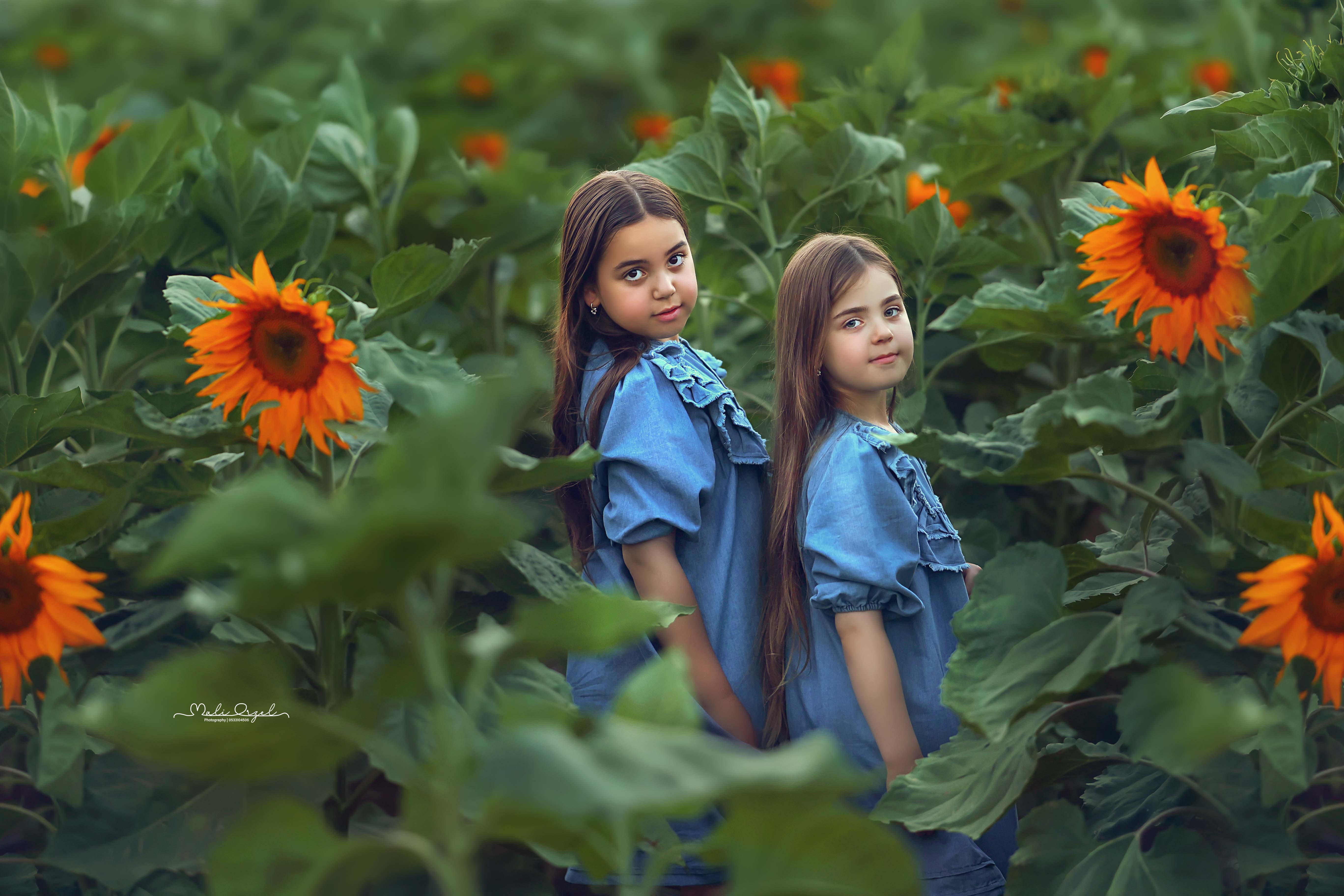 5 מלי 0533104506.jpg