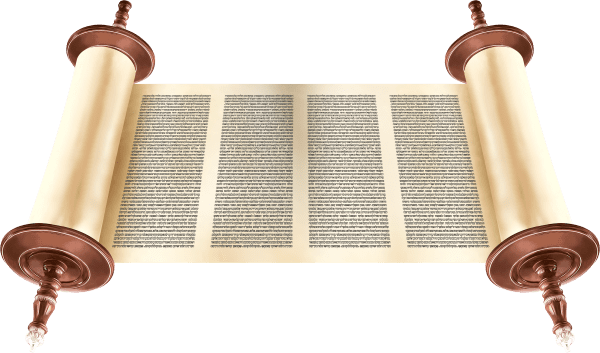 522569-0601105efa6b285569dd86a36a8a4292.png