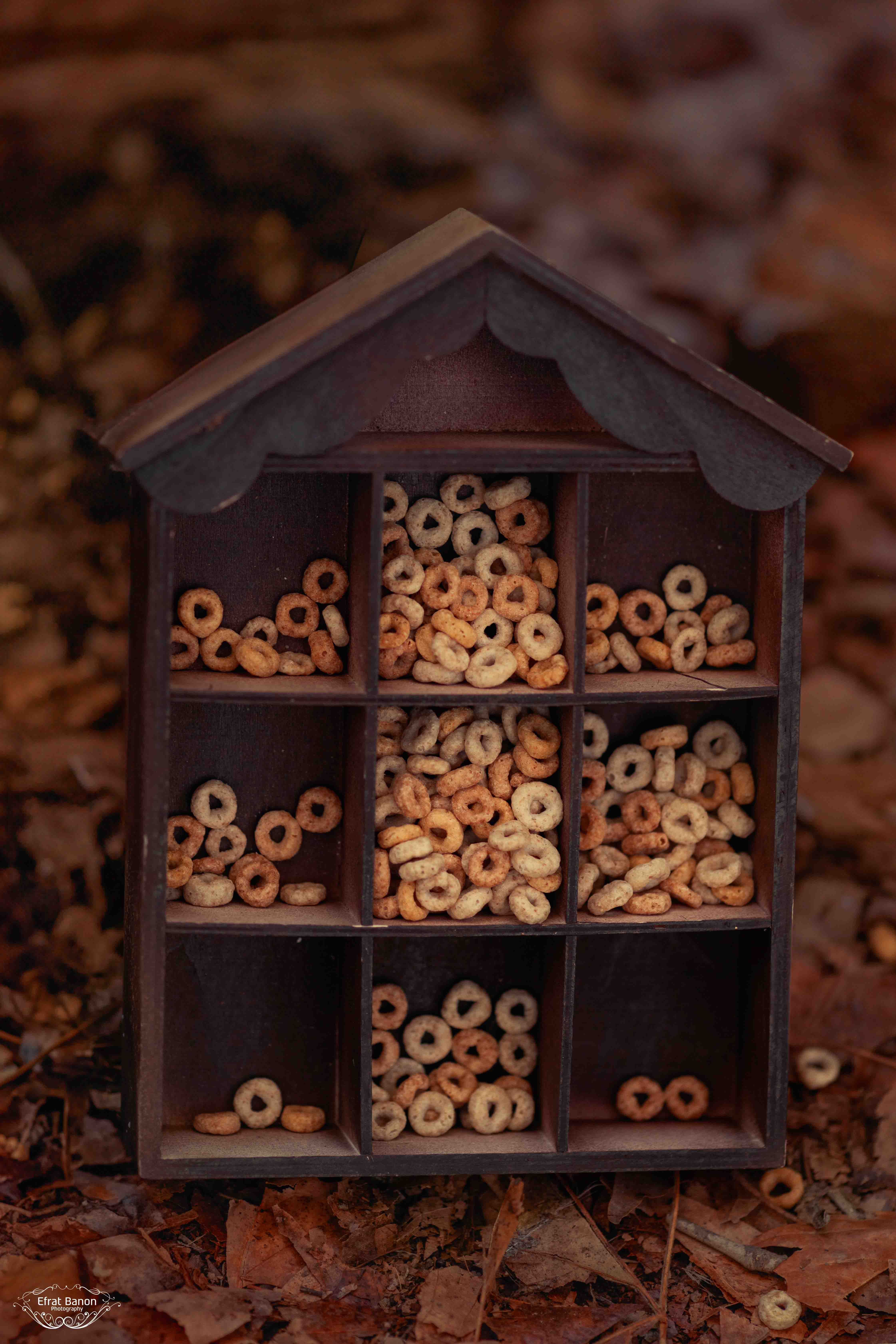 6אפרת בנון.jpg