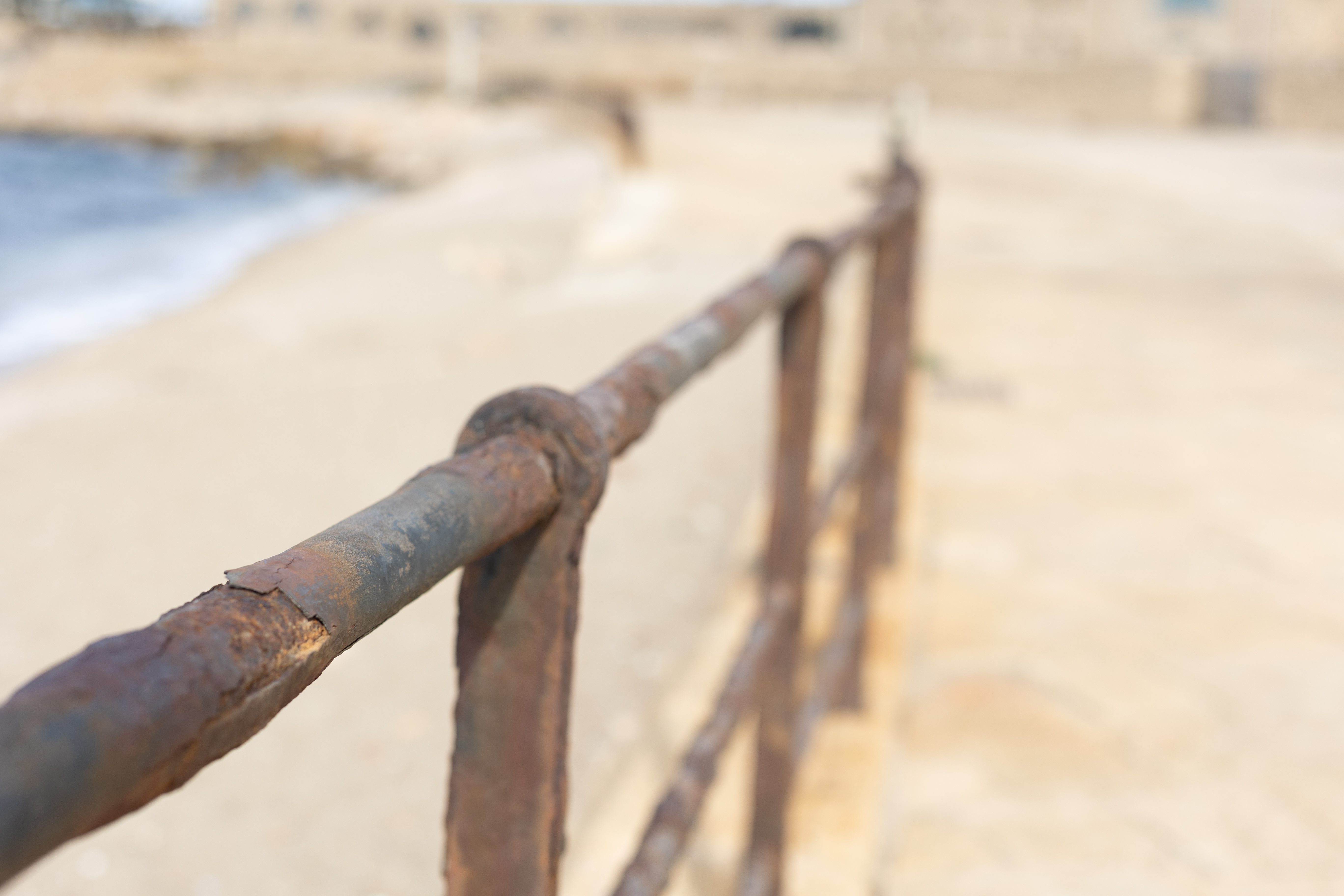 6שירה אהרוני צילום מקצועי.jpg