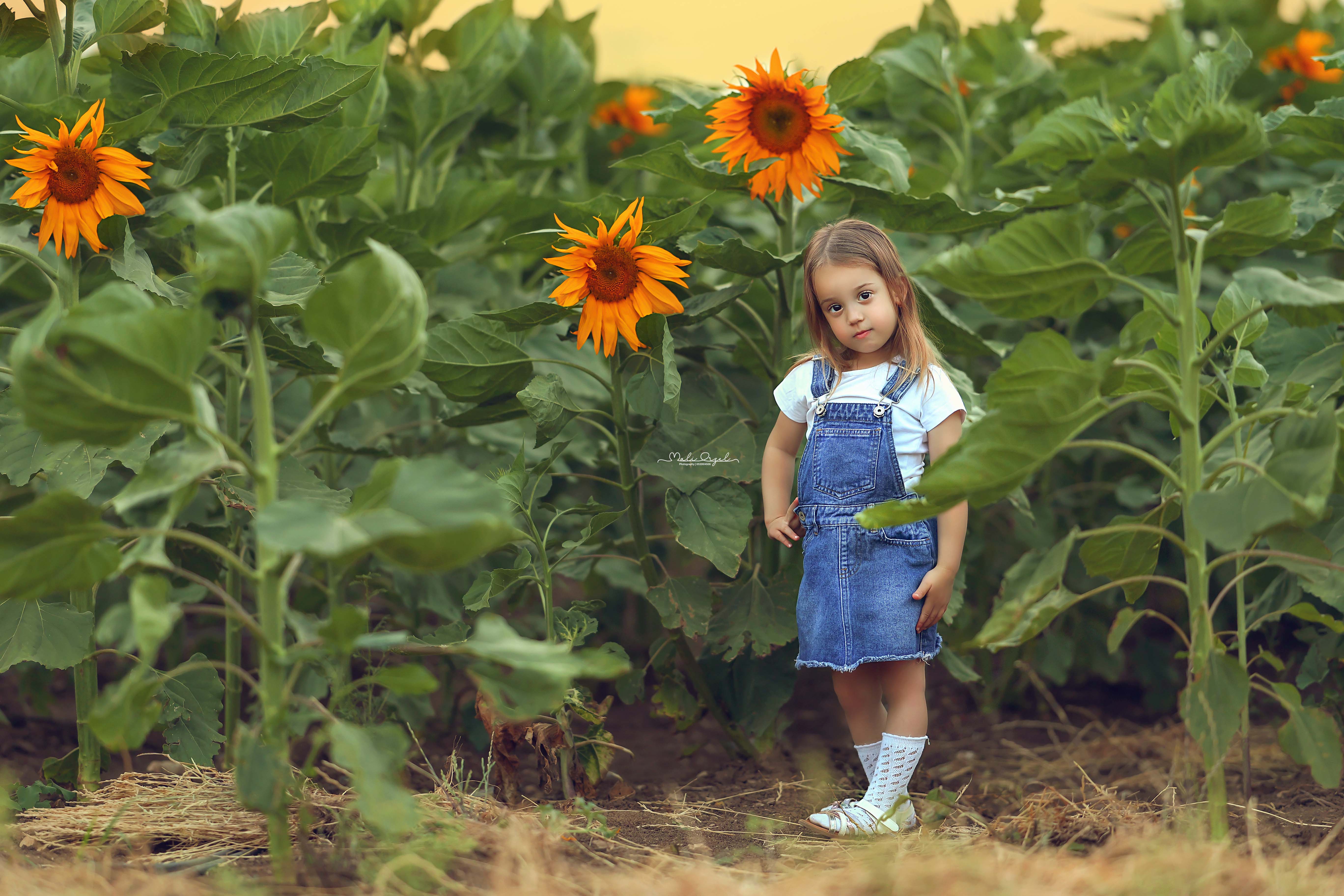 6 מלי 0533104506.jpg