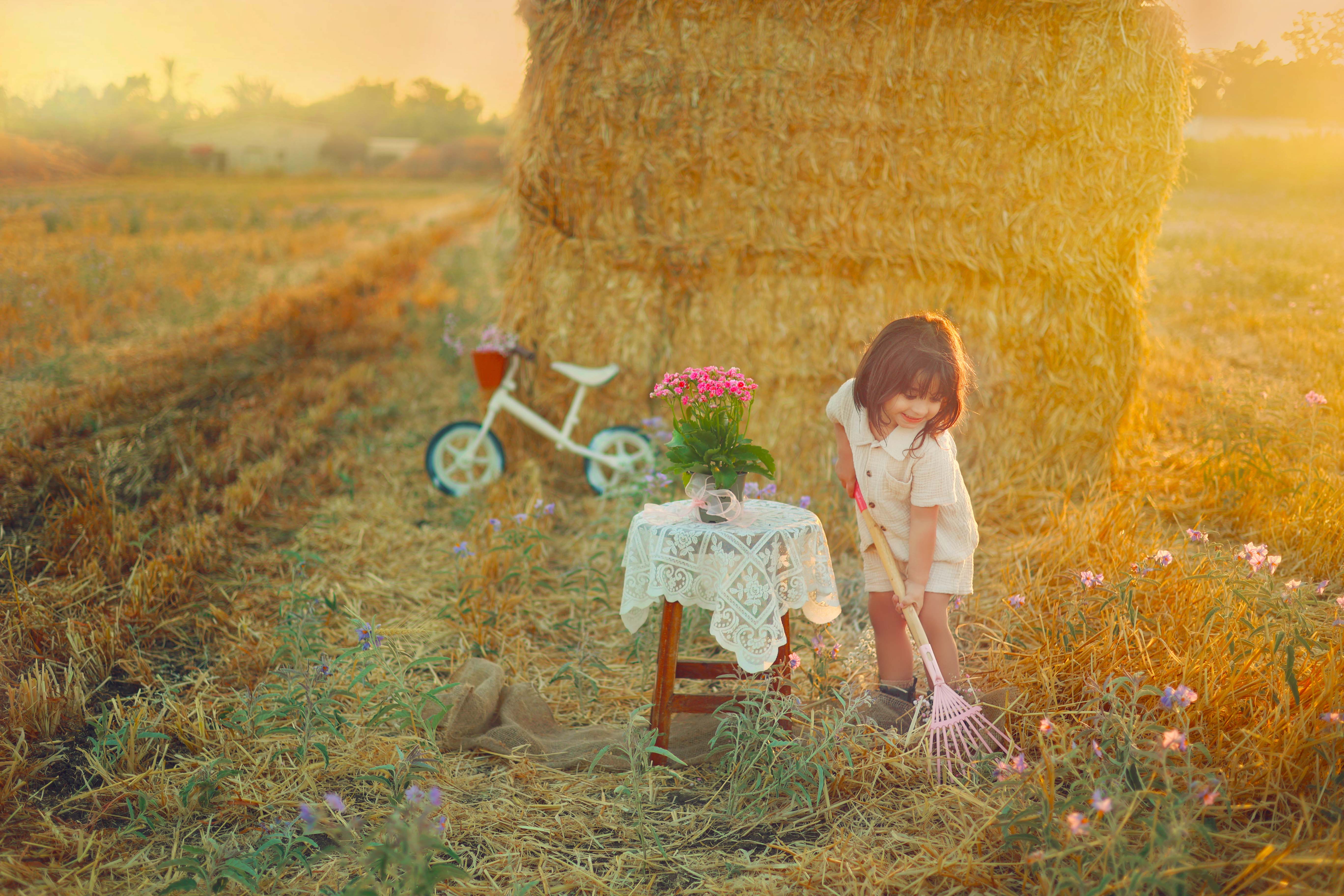 6 נמוך.jpgשילת כהן 0527117507.jpg