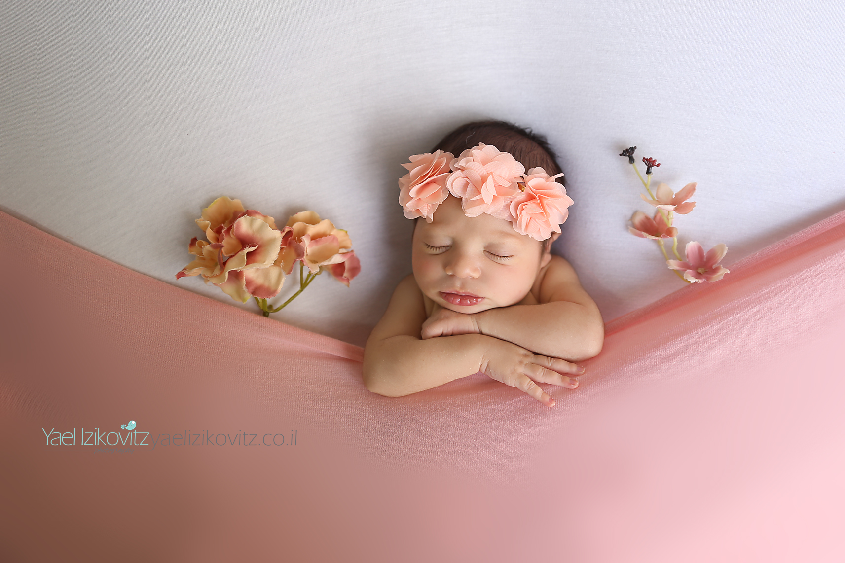 6.jpg מוקטן.jpg