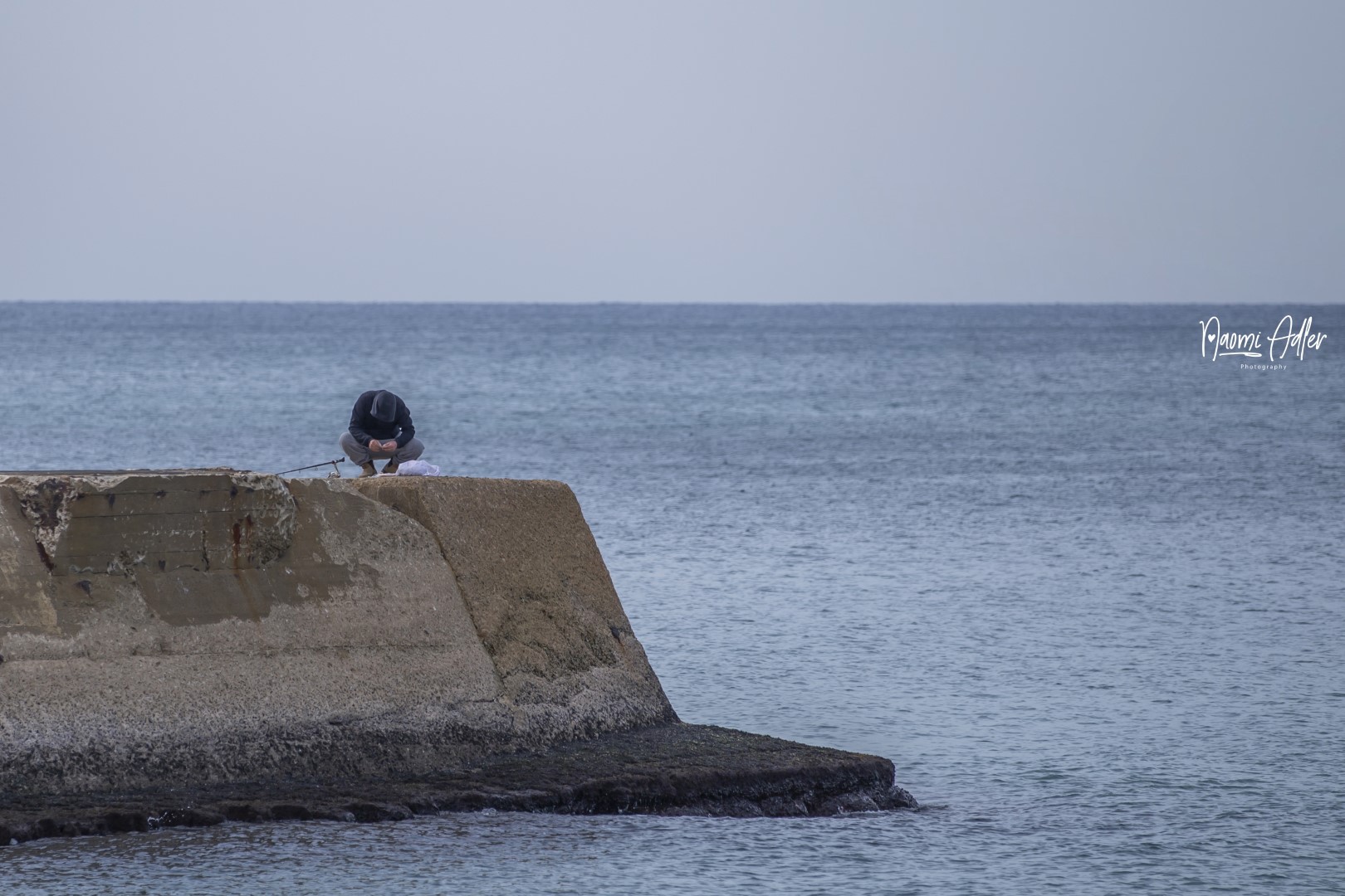 62 (Large) copy (Large).jpg