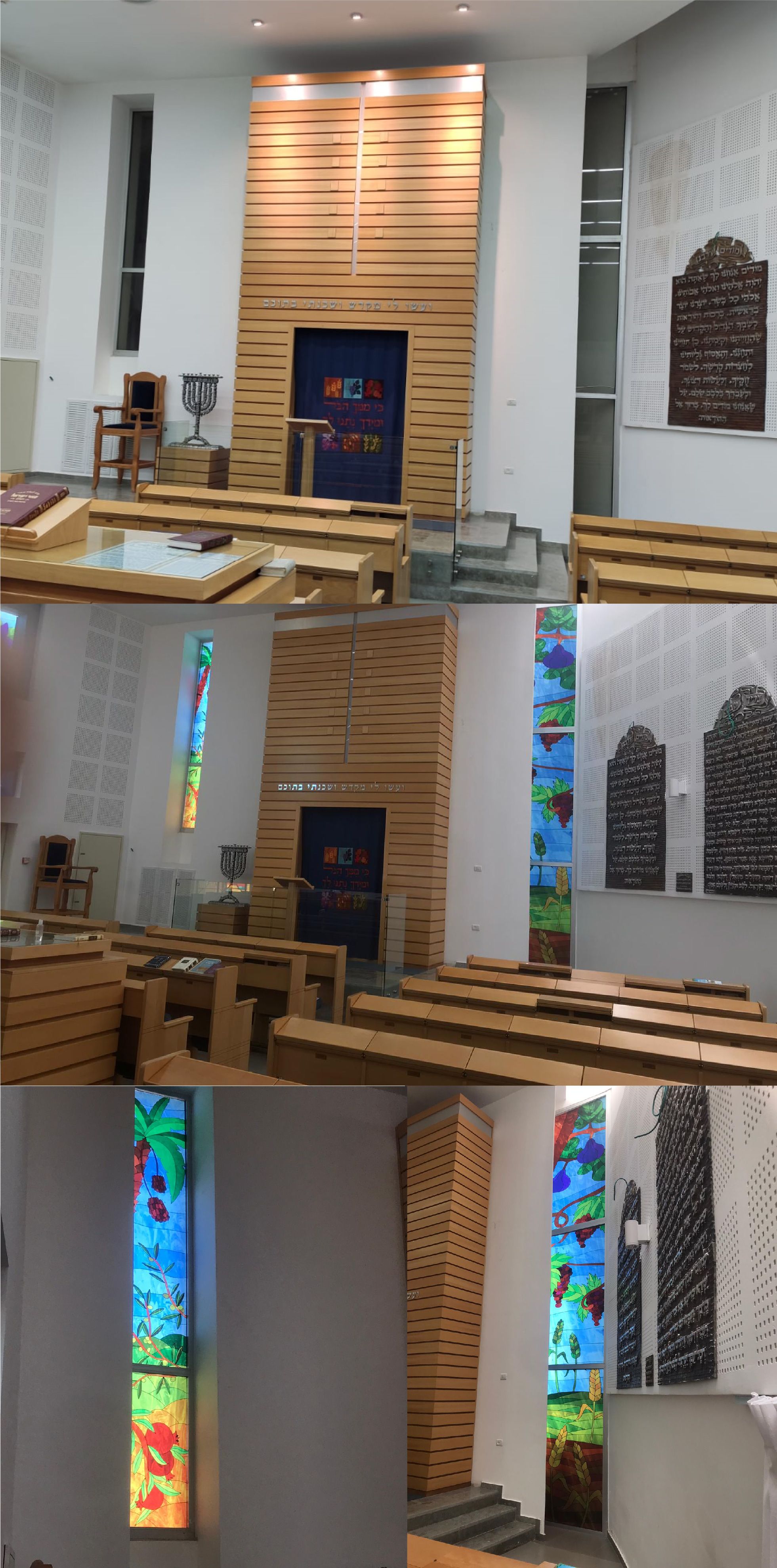 7 המינים לפני ואחרי-01.jpg