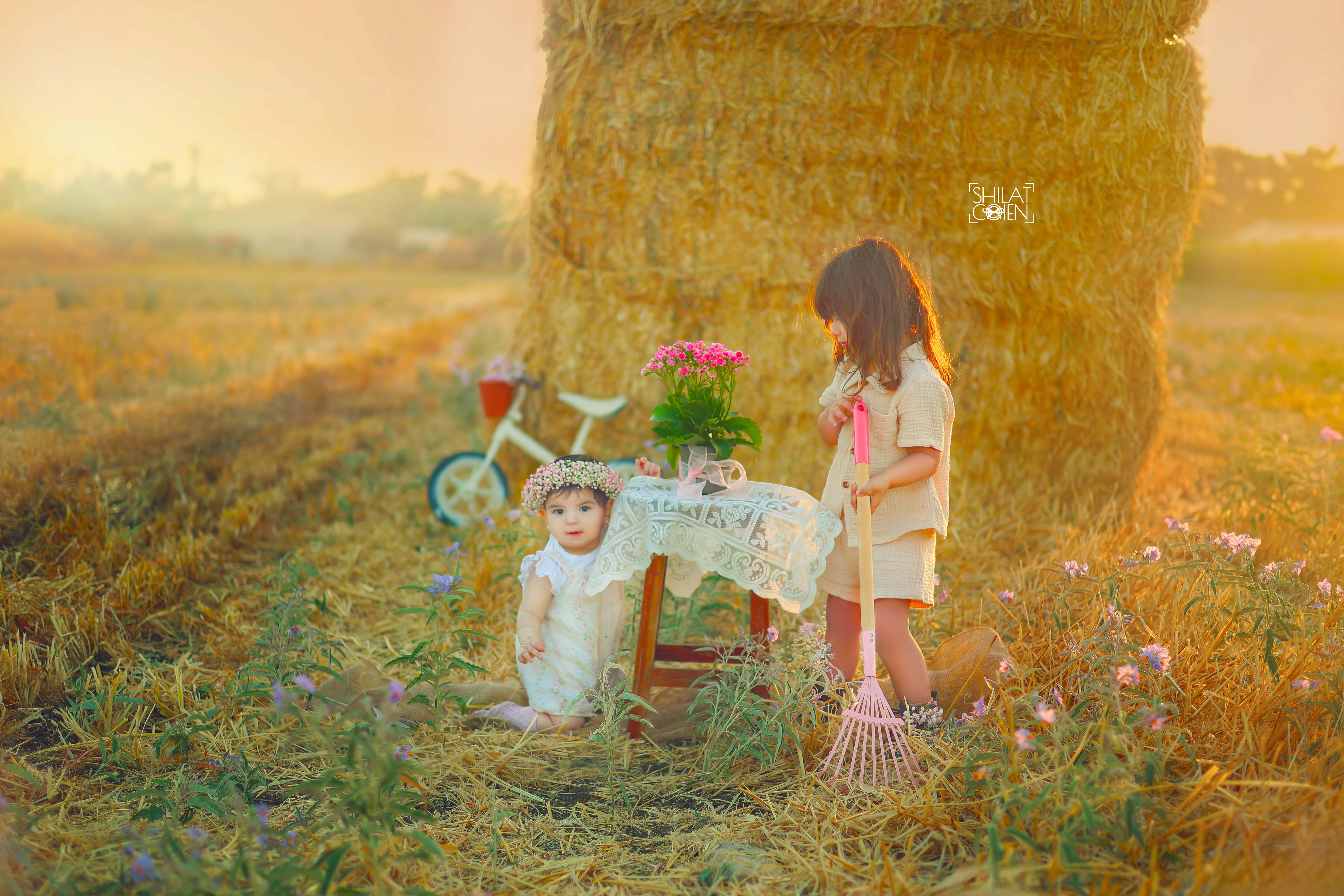 7 נמוך.jpgשילת כהן 0527117507.jpg