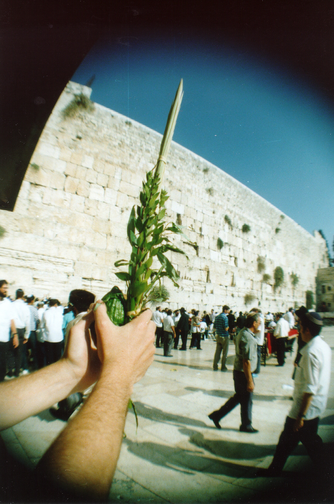 77.JPG