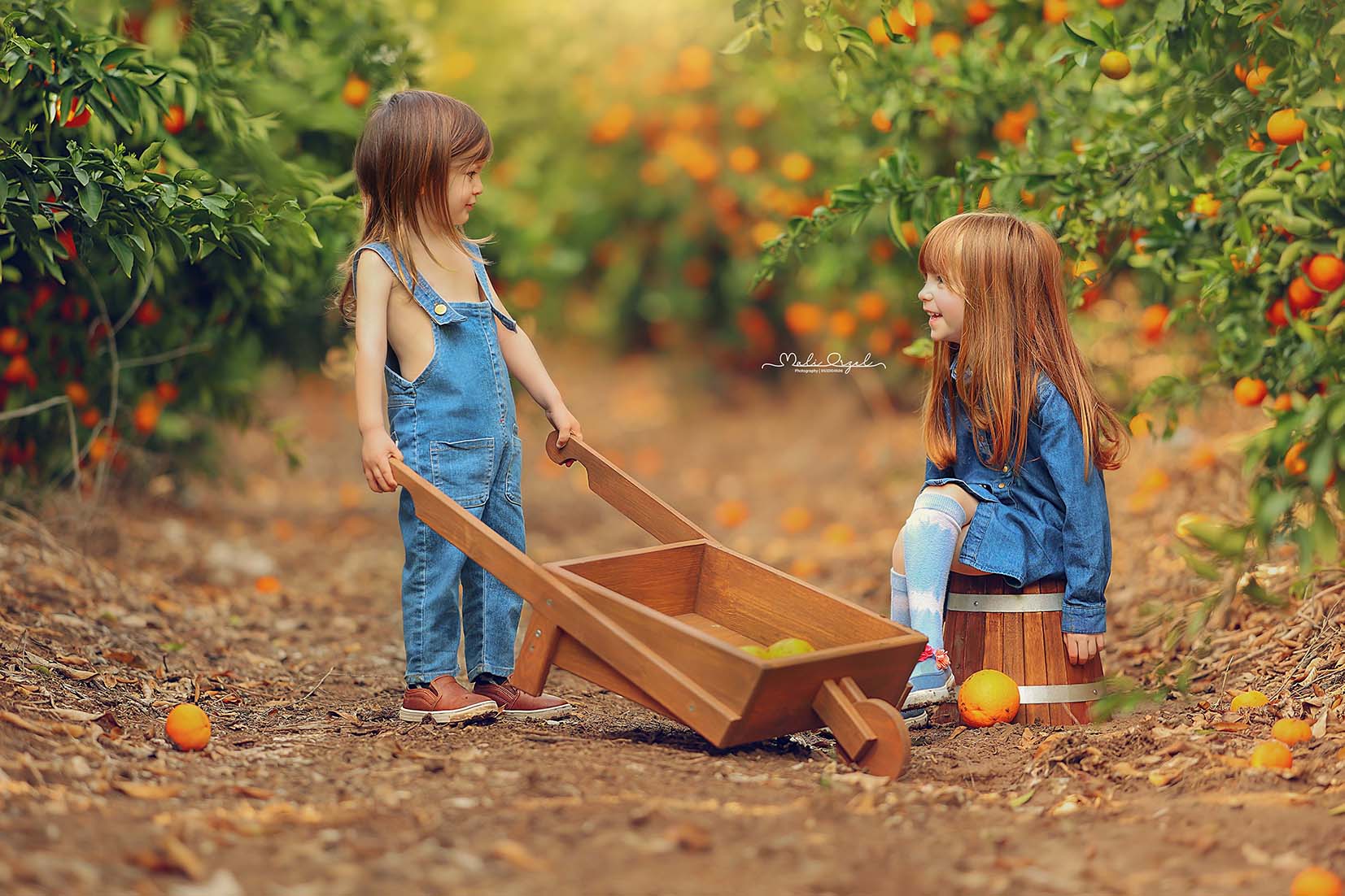 8 מוקטן copy.jpg