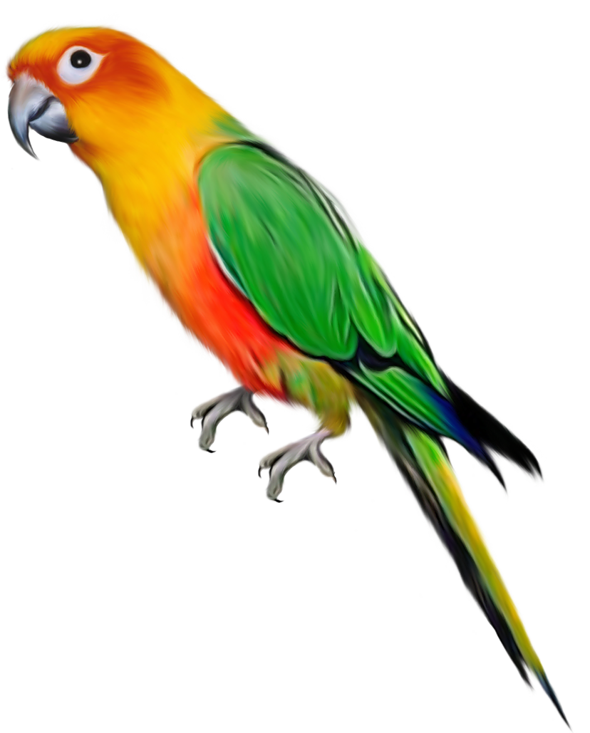 83750fab7da16fd11f22672e02d0dda5.png