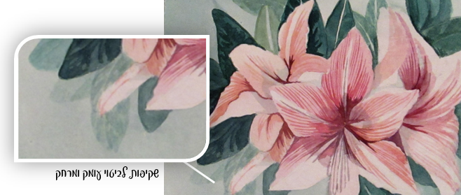 9עומק שדה.PNG