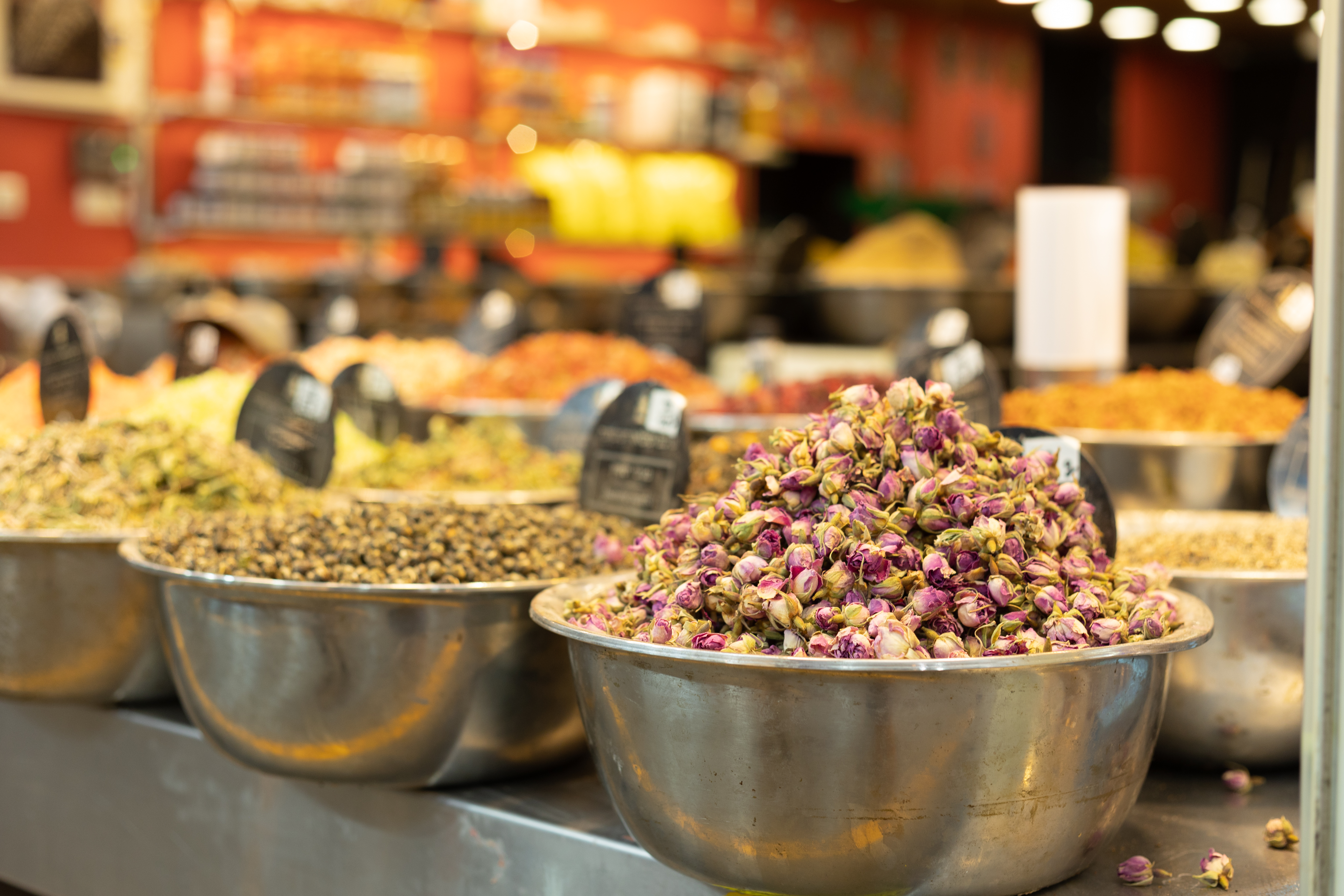 9שירה אהרוני צילום מקצועי.jpg