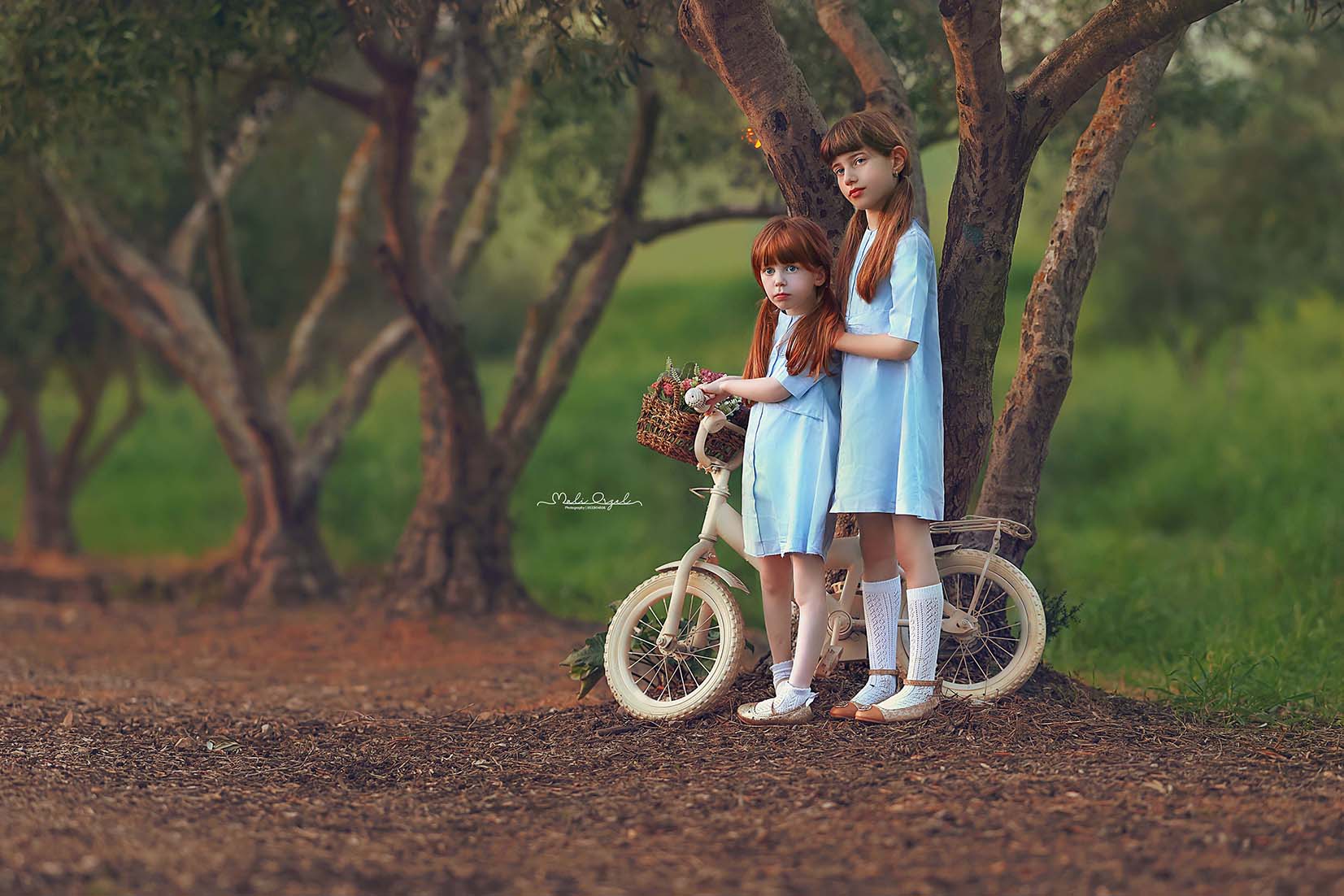 9 מוקטן מתוקן פ.jpg