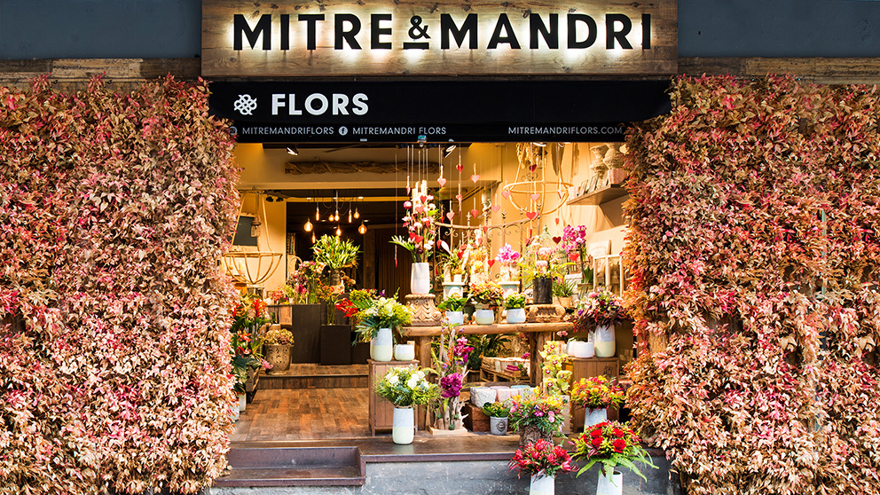 907a8754765527.596874a6772f7 (1).jpg