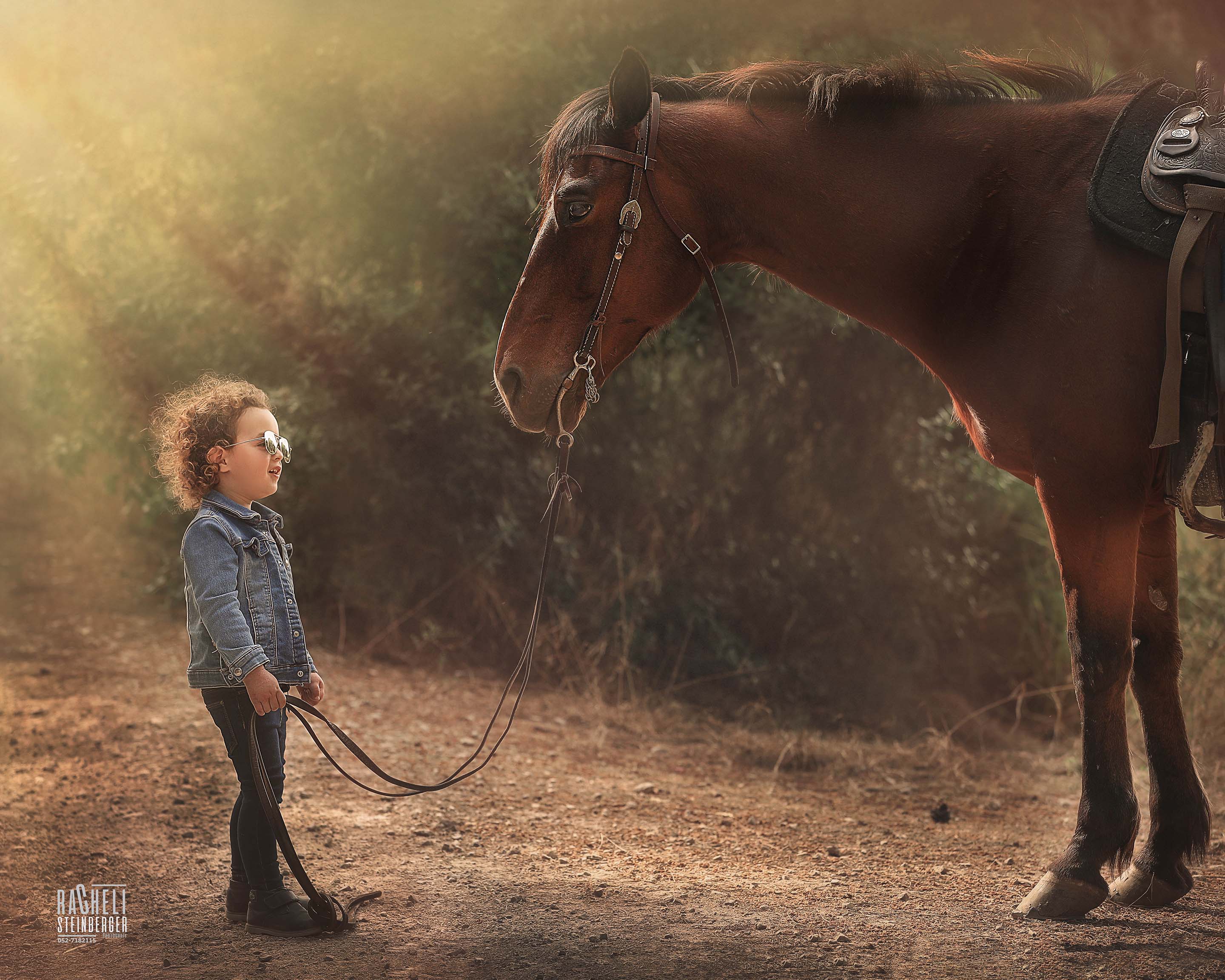 917A4815 copy.jpg-קטן.jpg