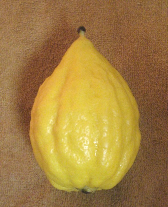 974px-Ordang_M.jpg